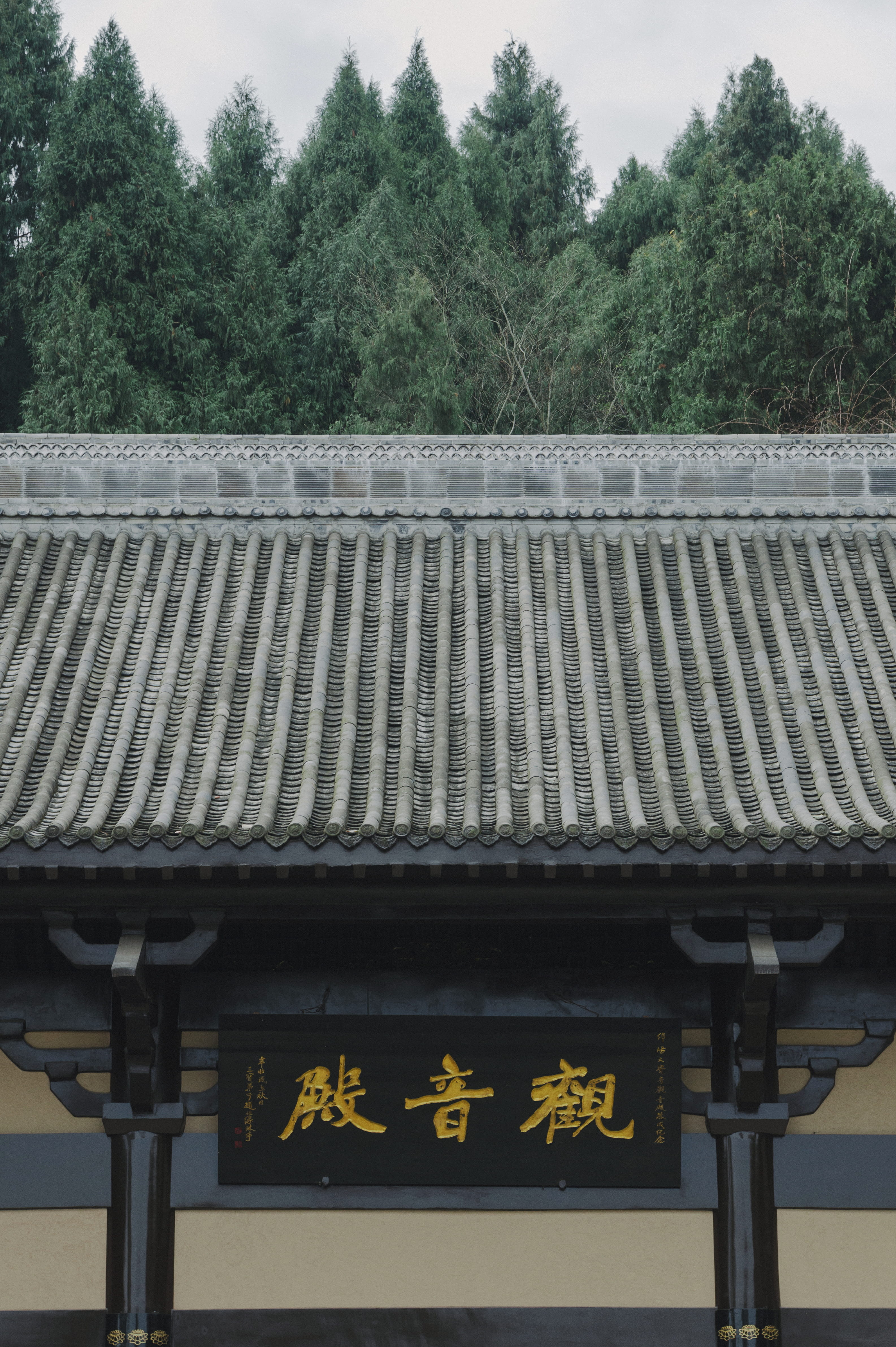 outdoors, slate, nature, plant, communication, information, text, no people, sport, pergola, sports, pattern, urban, porch, metropolis, growth, tile roof, Phone HD Wallpaper