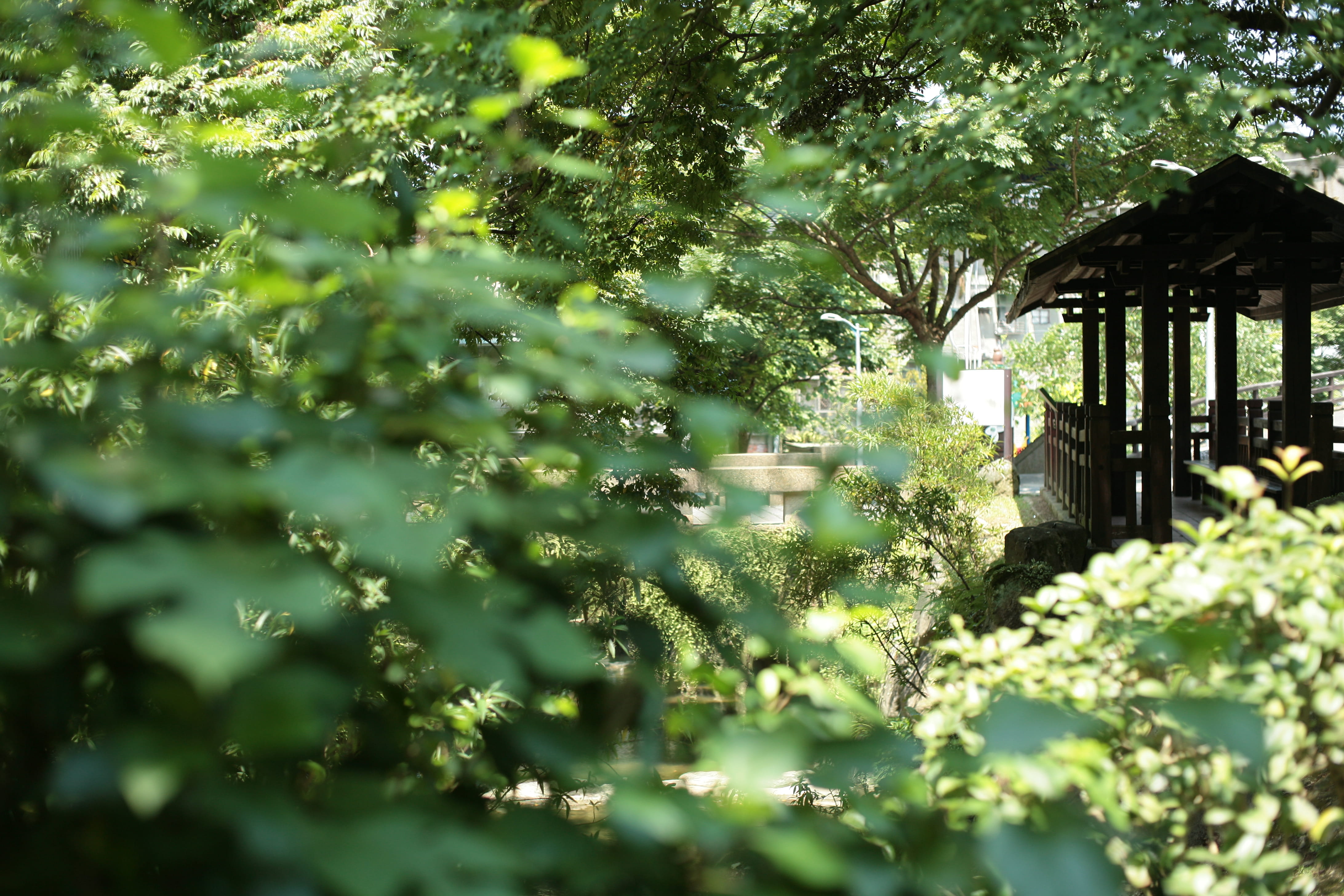 nature, garden, day, front or back yard, plant, growth, plant part, tree house, no people, cottage, patio, land, focus on background, tranquility, building exterior, HD Wallpaper