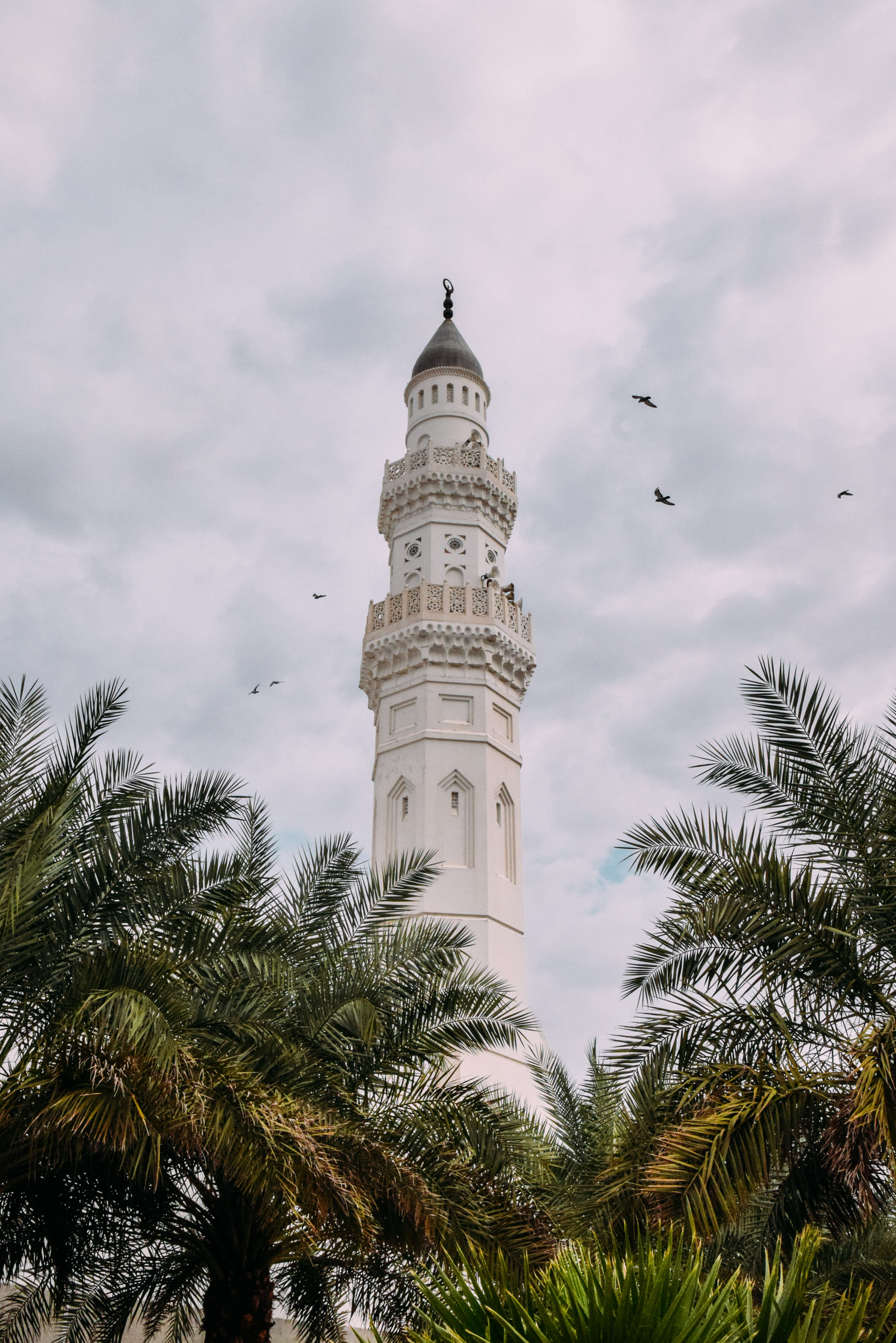 tourism, birds, plant, low angle view, trees, tower, monument, building, travel destinations, tree, outdoors, concrete, saudi arabia, built structure, islam, Phone HD Wallpaper