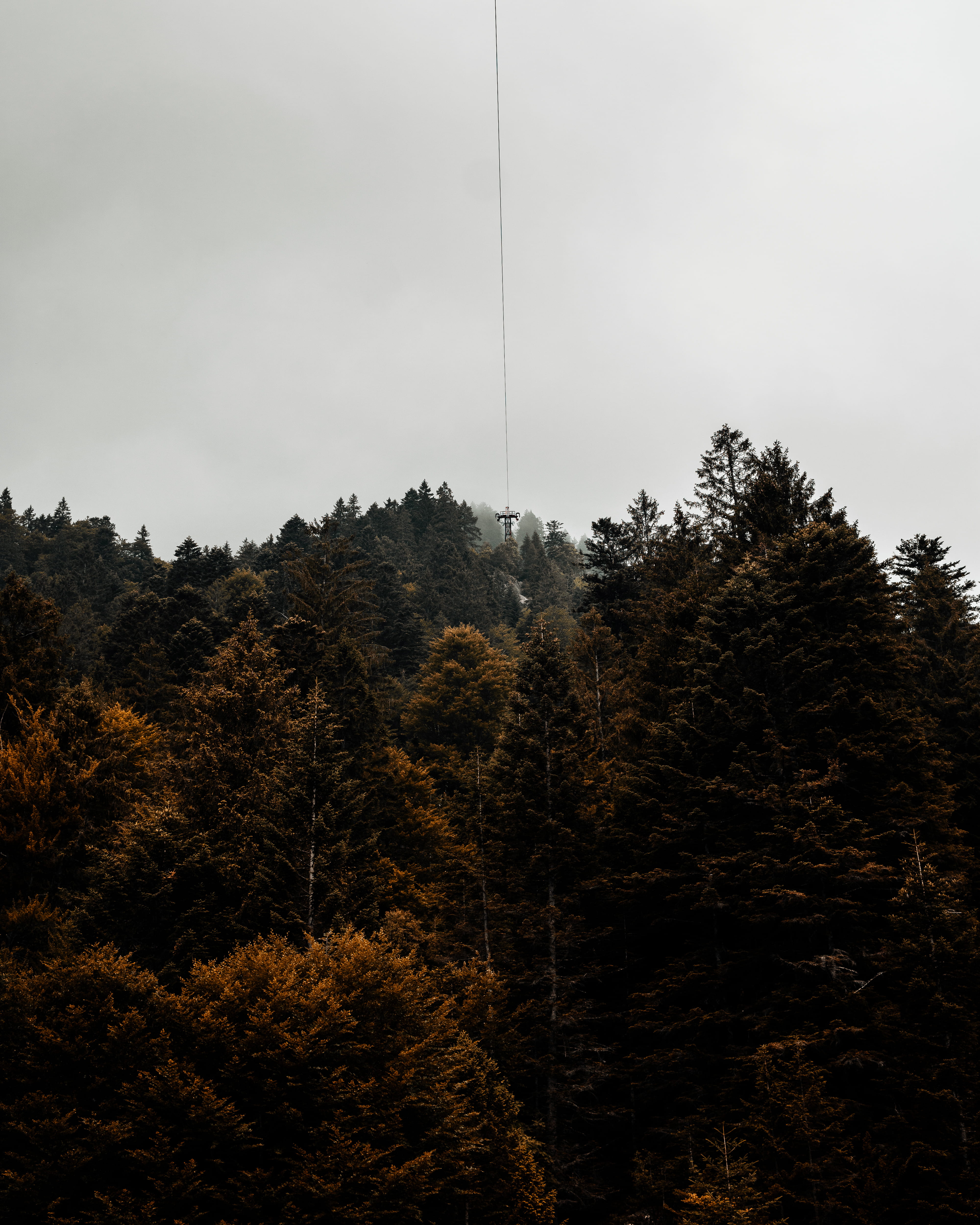 outdoors, silhouette, architecture, scenics - nature, building, tree, pine, sky, rope, no people, leisure activities, woods, beauty in nature, clouds, larch, Phone HD Wallpaper