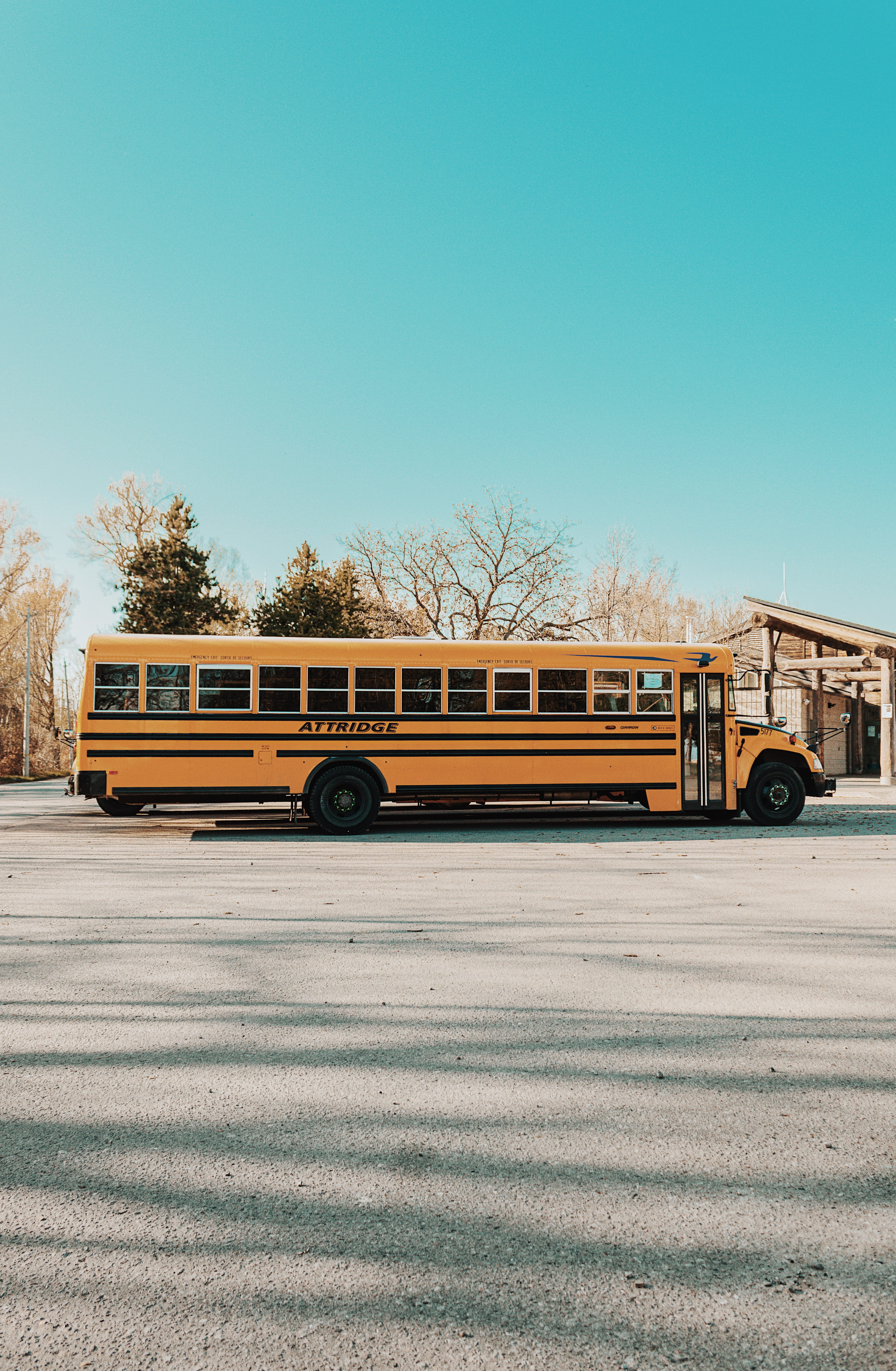 road, urban, tree, school, transportation, toronto, nature, attridge, copy space, day, outdoors, motor vehicle, public transportation, land vehicle, car, Phone HD Wallpaper