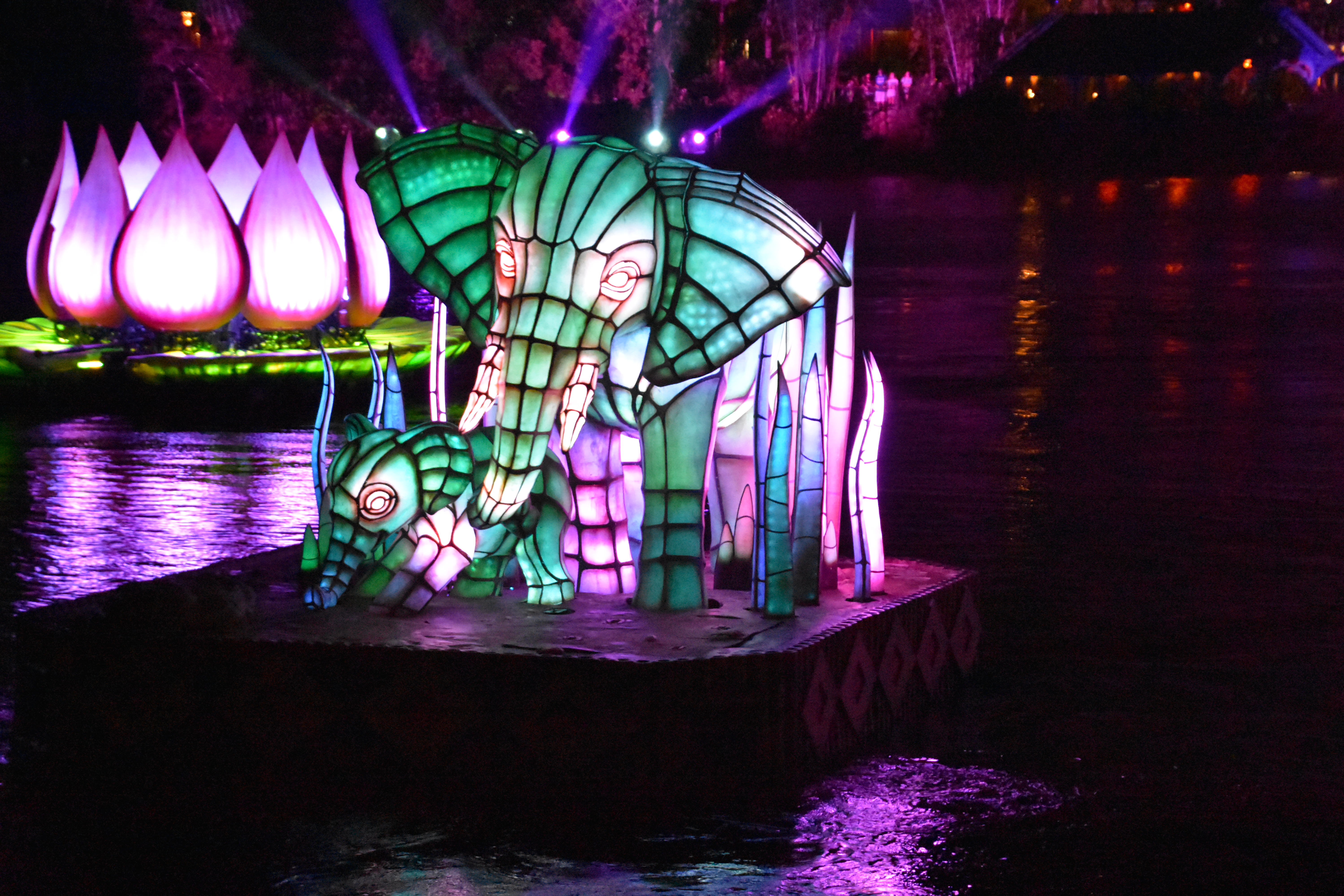 waterfront, 5K, reflection, lighting equipment, kissimmee, purple, decoration, built structure, pink color, bus stop - disneys animal kingdom theme park, HD Wallpaper