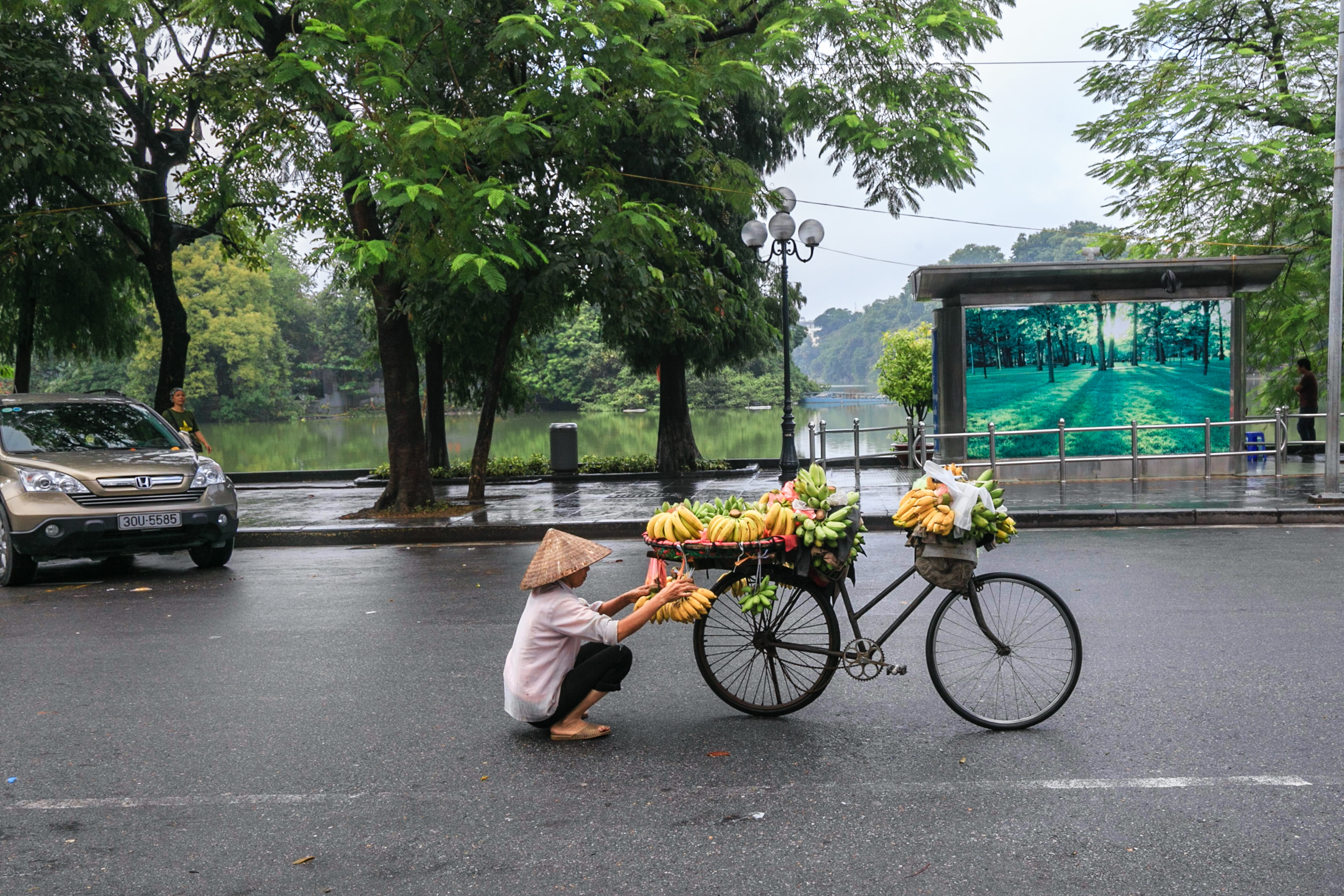 urban, one person, outdoors, nature, vehicles, summer, plant, road, car, tree, near, architecture, wheel, vendor, mode of transportation, real people, transportation system, HD Wallpaper