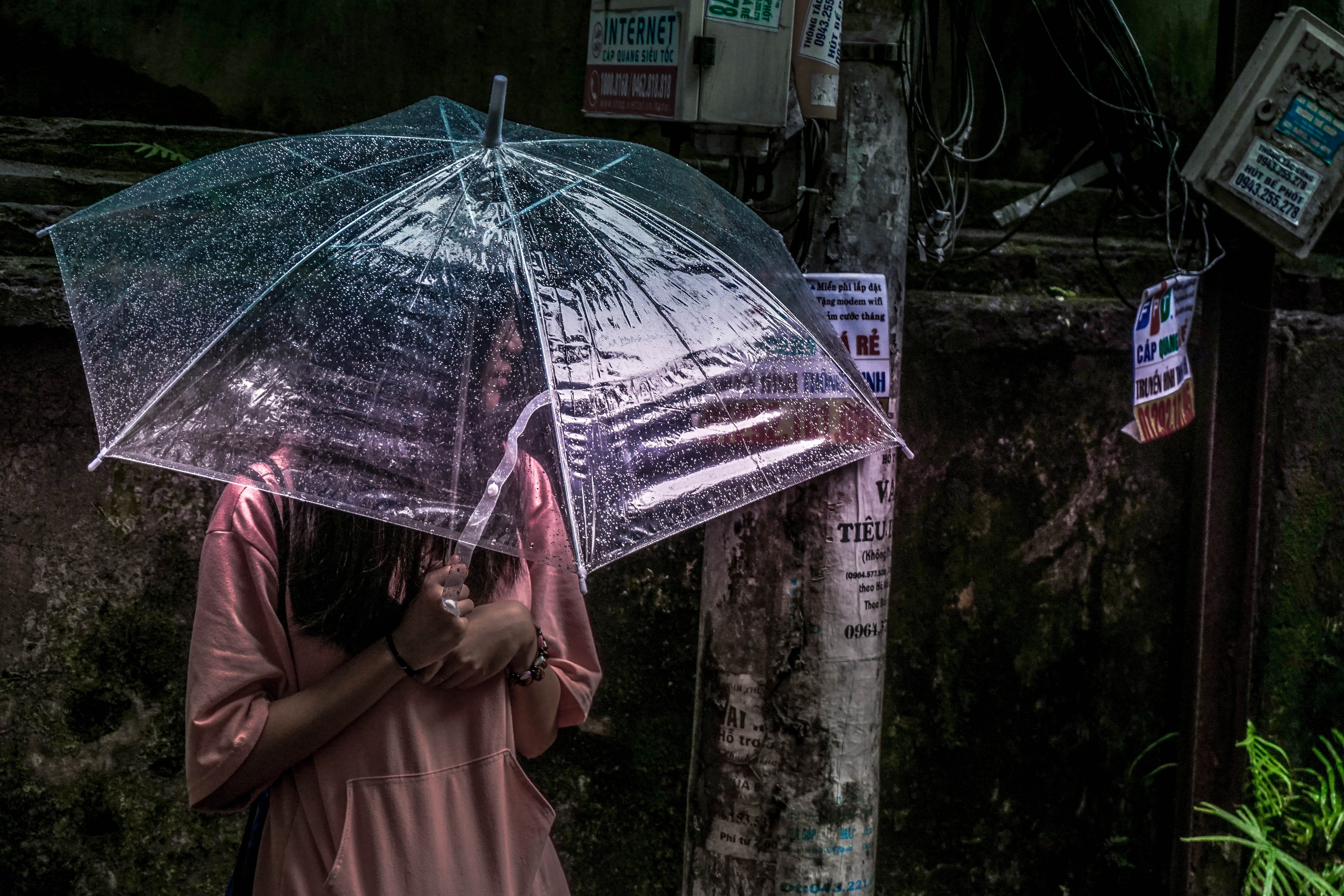 rain, people, fruit, safety, day, protection, produce, umbrella, light, adult, 5K, bus stop, food, clear, flare, sheltering, standing, woman, tree, holding, HD Wallpaper