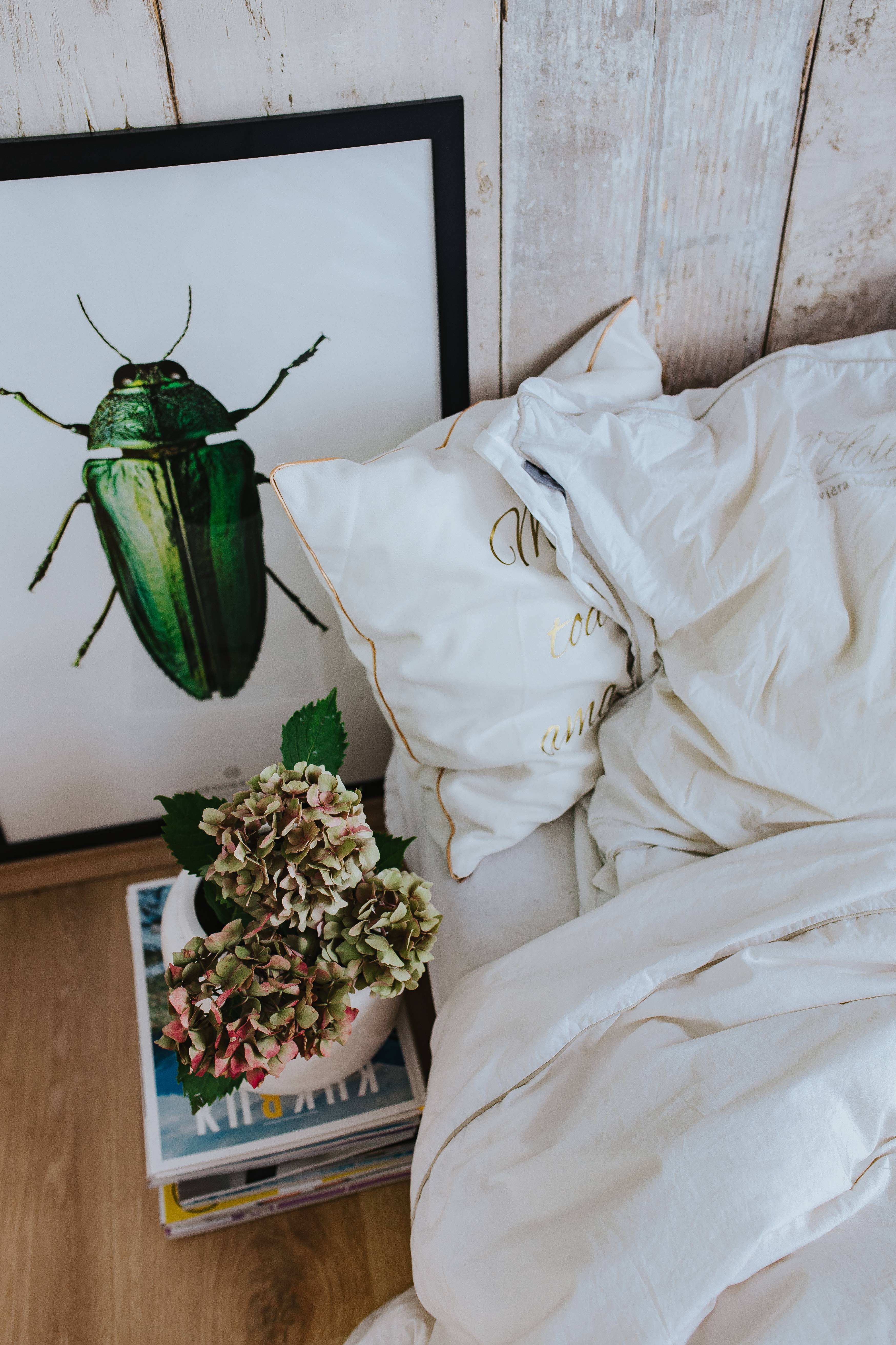 indoors, White, nature, stack, green, magazines, beetle, white color, high angle view, plant, no people, tray, flower, duvet, textile, bed sheets, still life, Phone HD Wallpaper
