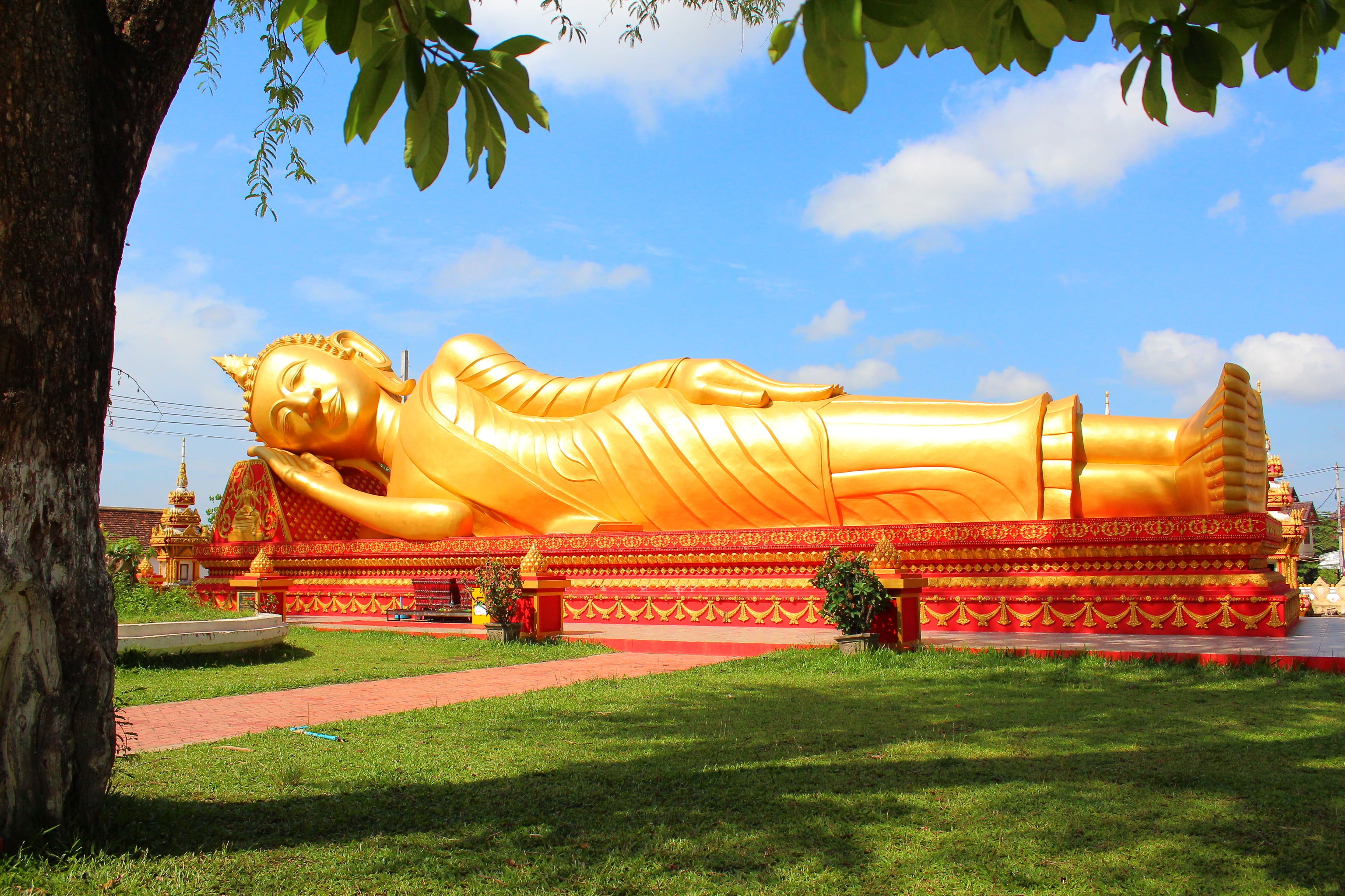 reclining buddha, ornate, built structure, sculpture, tree, statue, religion, laos, human representation, male likeness, no people, buddhism, representation, HD Wallpaper