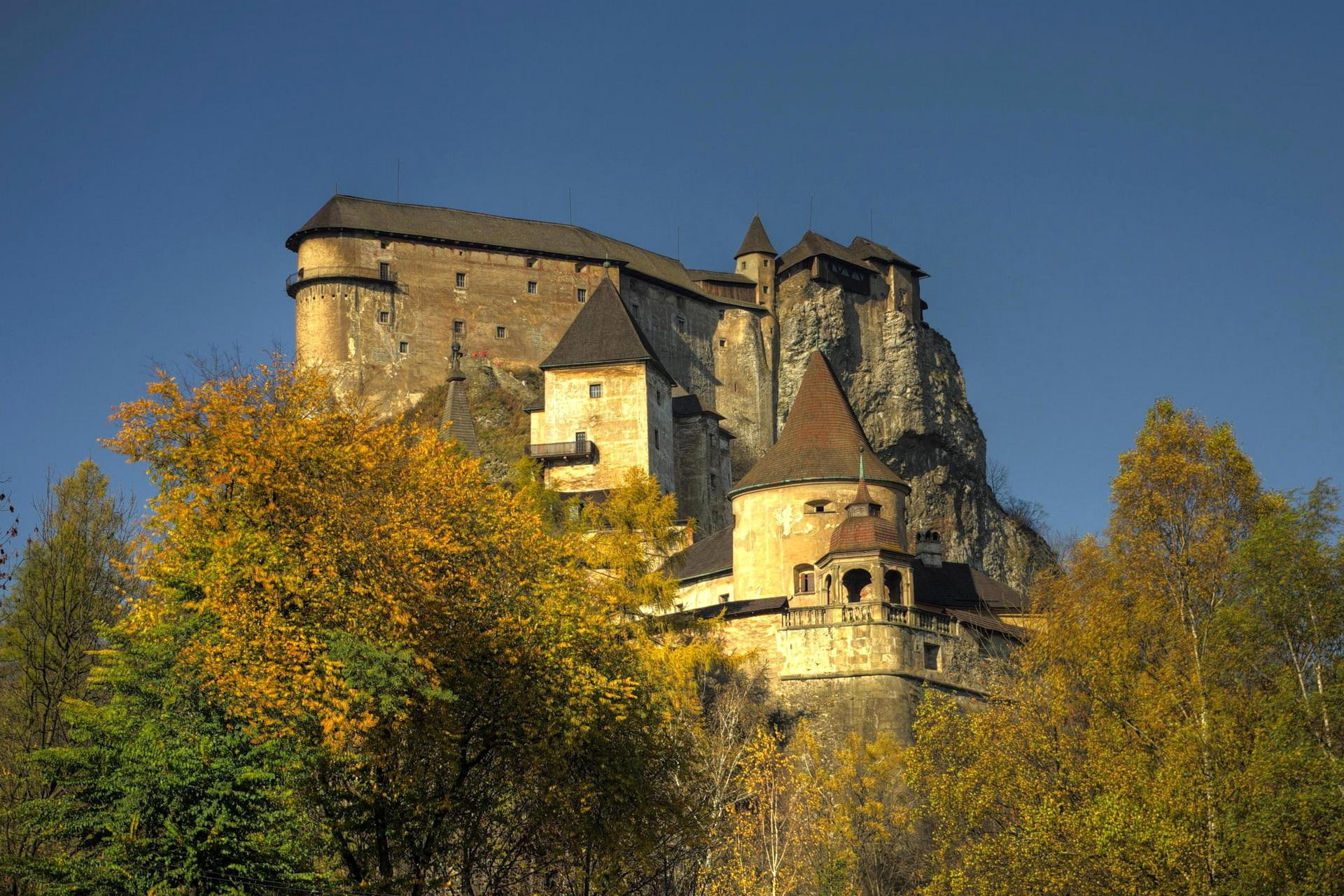 tower, medieval, animals, castle, fortress, orava, trees, slovakia, stone, 1080P, HD Wallpaper
