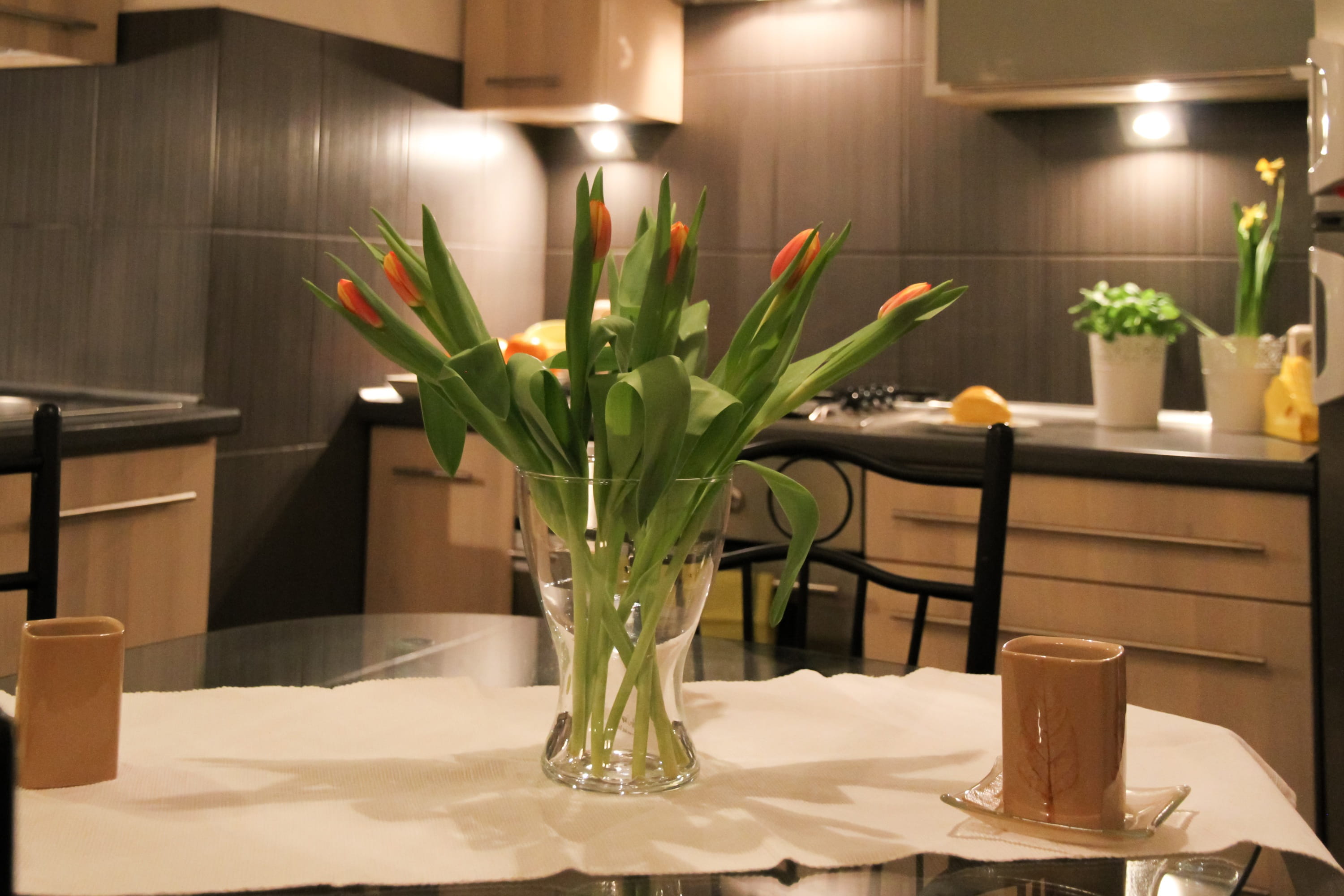 furniture, flower, kitchen counter, 2K, lighting equipment, luxury, comfortable apartment, elegance, flower arrangement, dining table, potted plant, interior design, HD Wallpaper