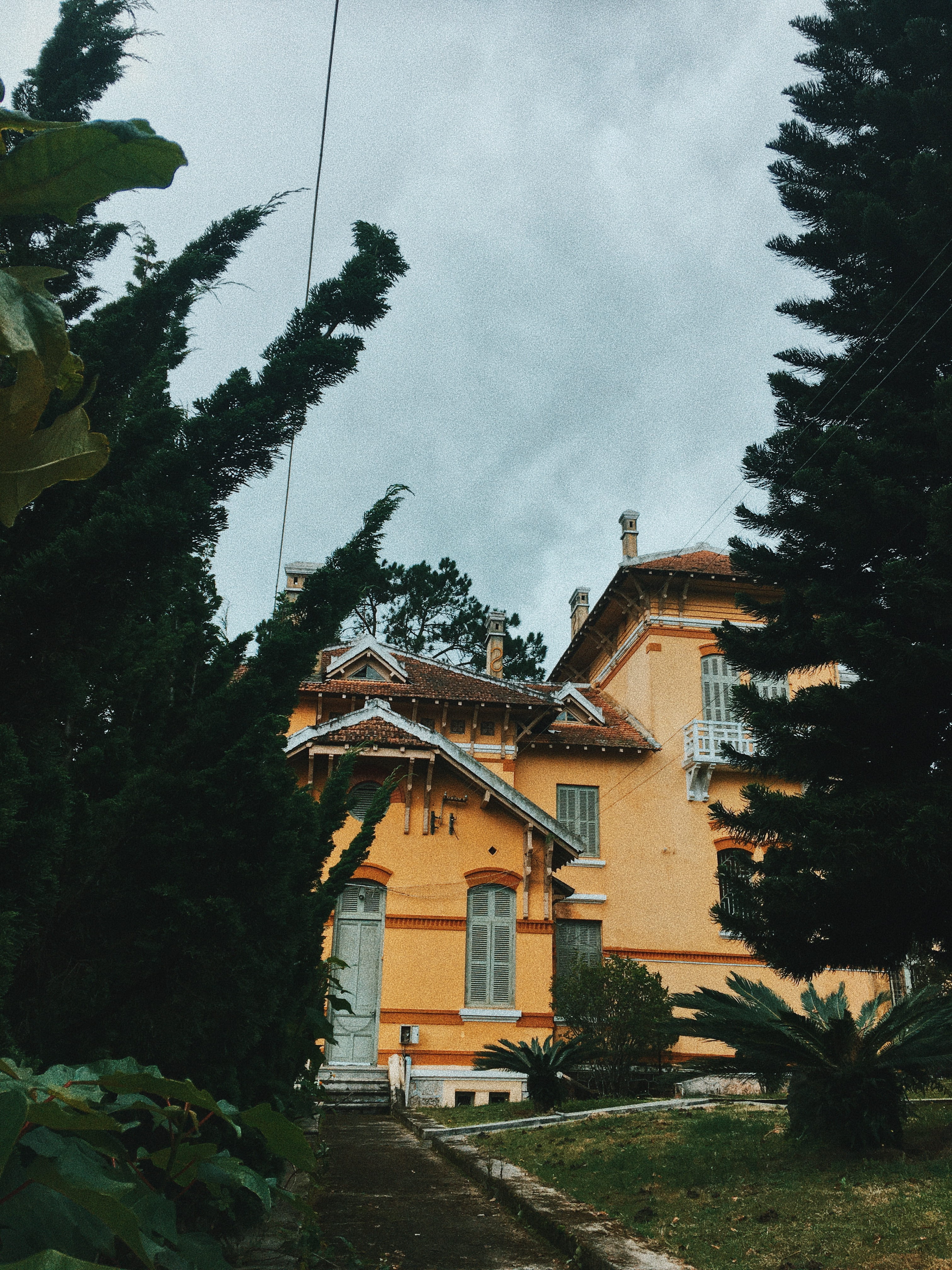 no people, cloud - sky, building exterior, glass, trees, building, 4K, green, design, near, plants, entrance, property, house, exterior, place of worship, Phone HD Wallpaper