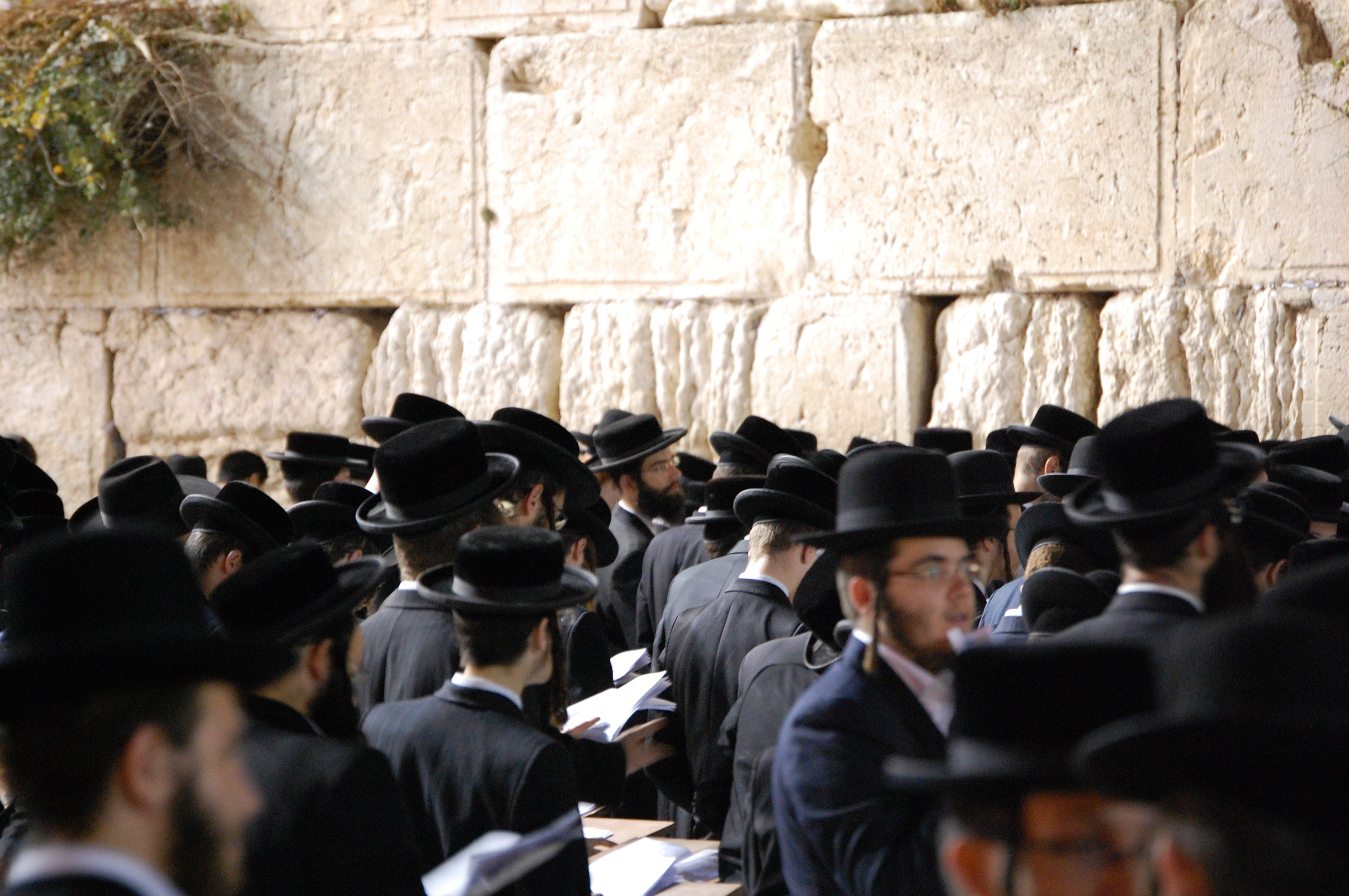 suit, group of people, 2K, praying, hebrew, adult, togetherness, wailing wall, ceremony, in a row, hats, temple, kotel, israel, prayer, history, black, HD Wallpaper
