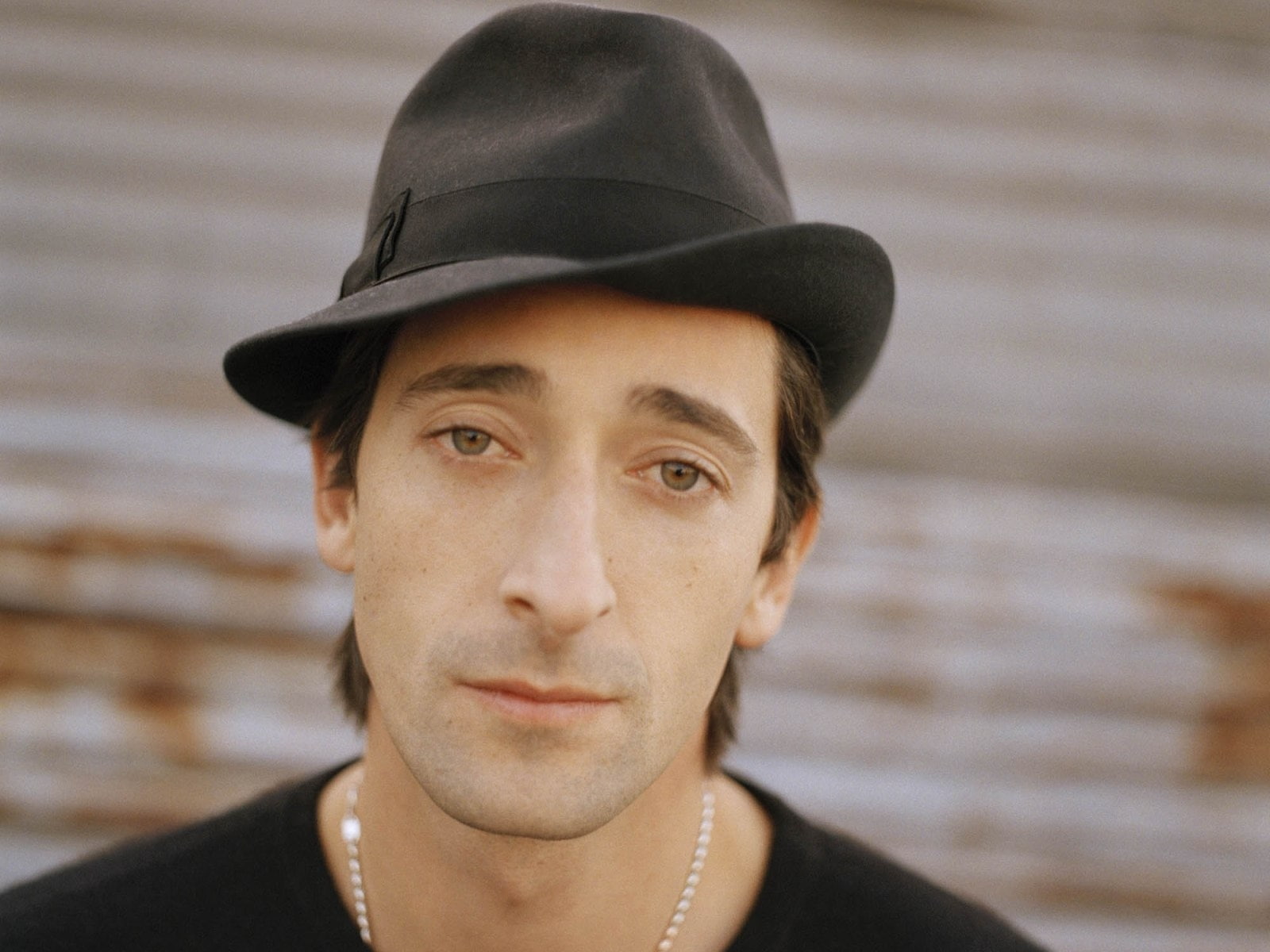 brody, adrien, hair, brown, hat, 720P, HD Wallpaper