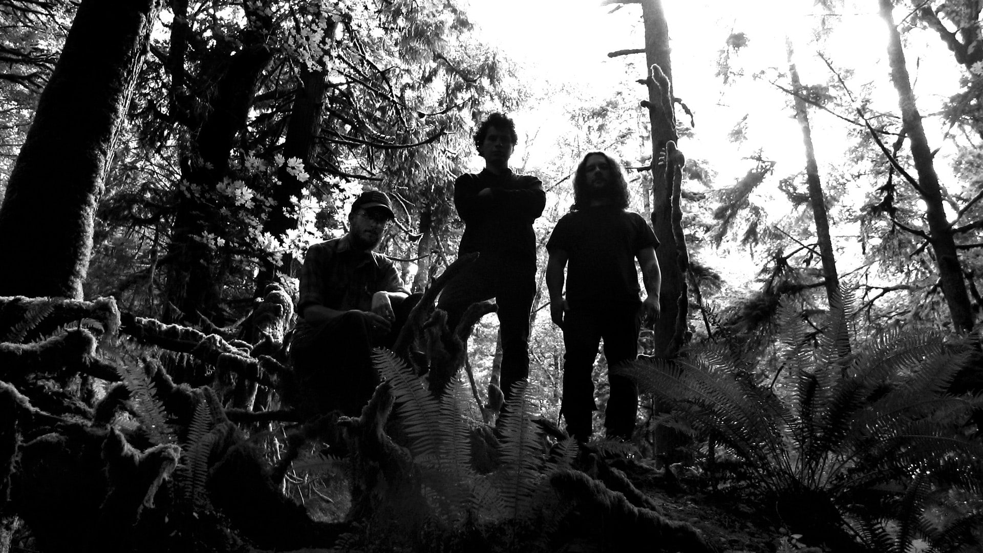 Music, 1080P, Wolves In The Throne Room, HD Wallpaper