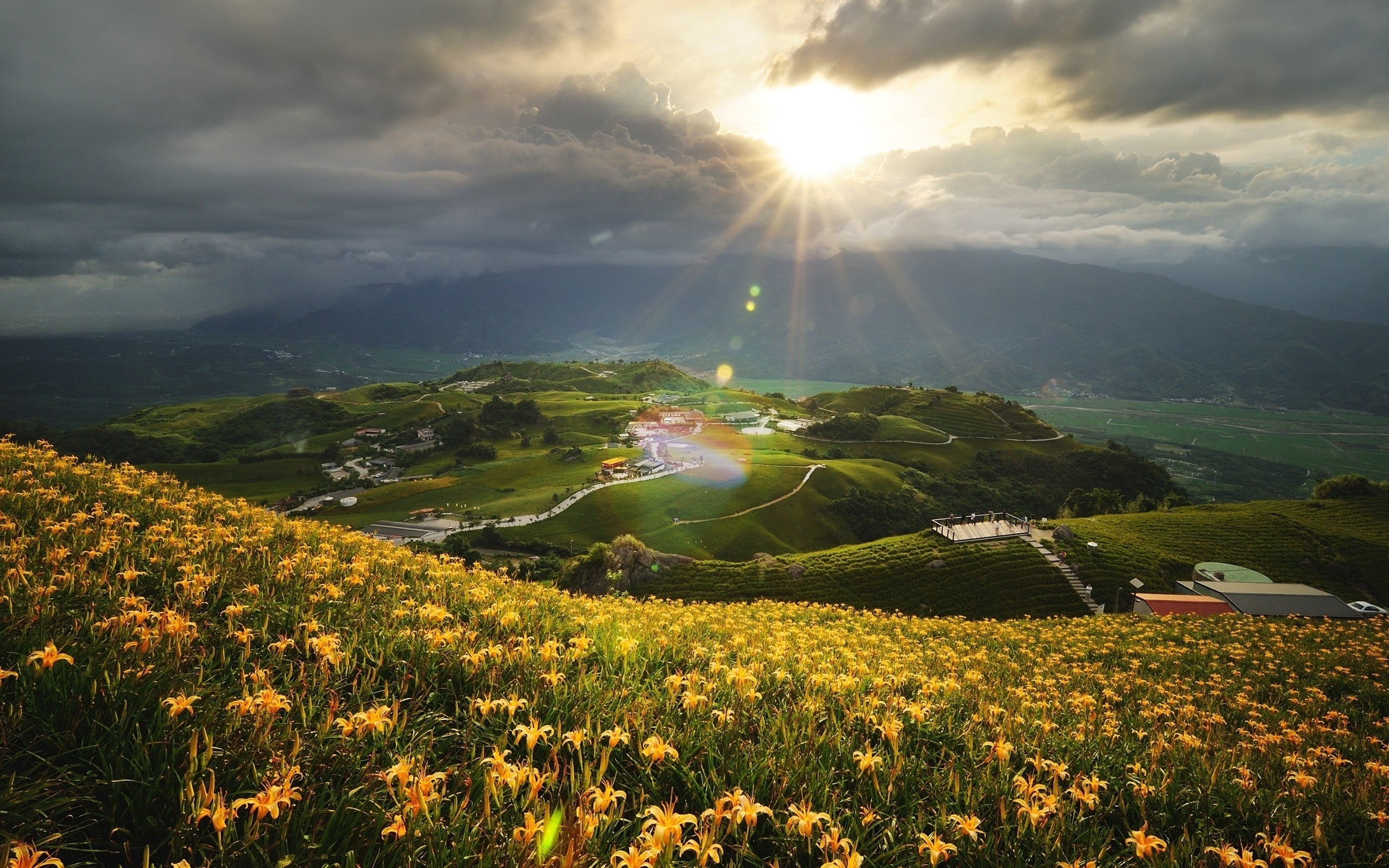 sun, tracks, landscaped, sunlight, meadow, sky, flower, field, clouds, patches of light, 2K, lens flare, beams, look, agriculture, rural Scene, no people, HD Wallpaper