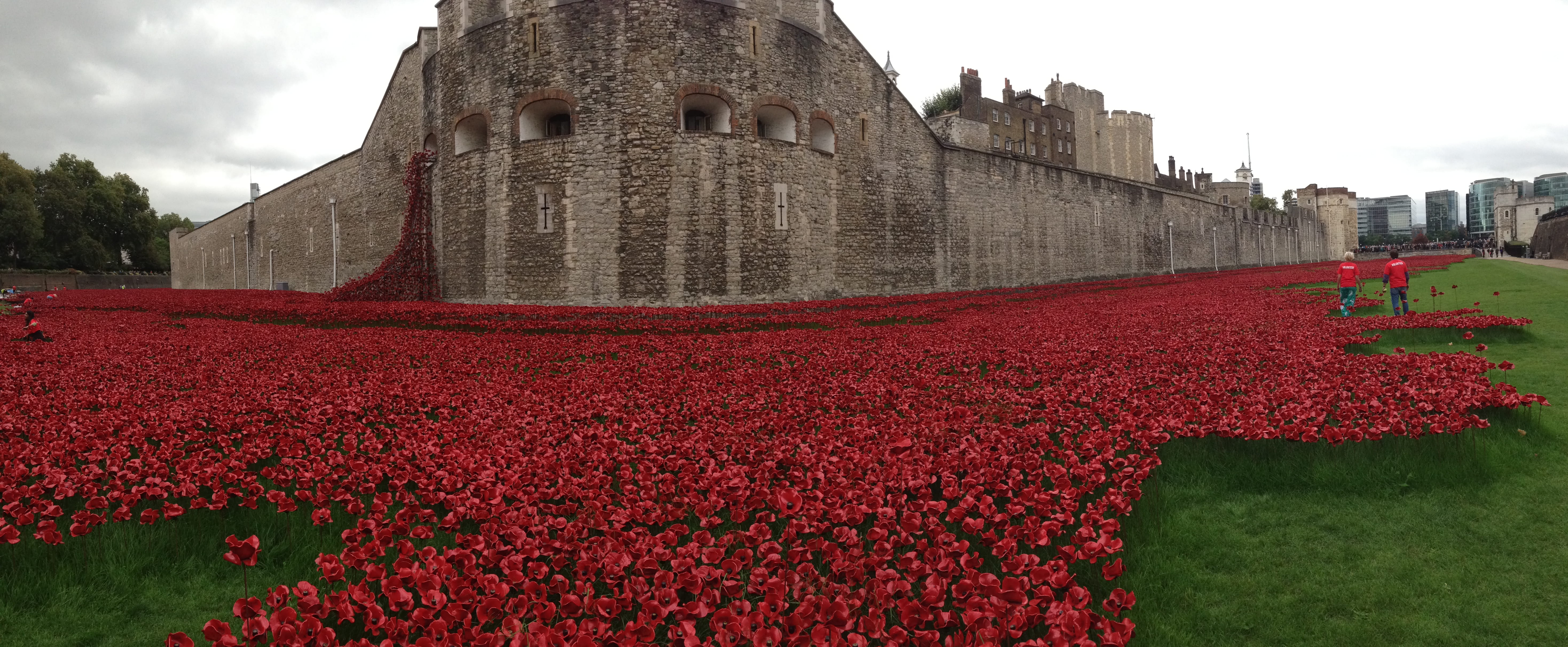 red, history, growth, freshness, day, built structure, architecture, british legion, flowerbed, castle, tower of london, building, nature, london, sky, HD Wallpaper