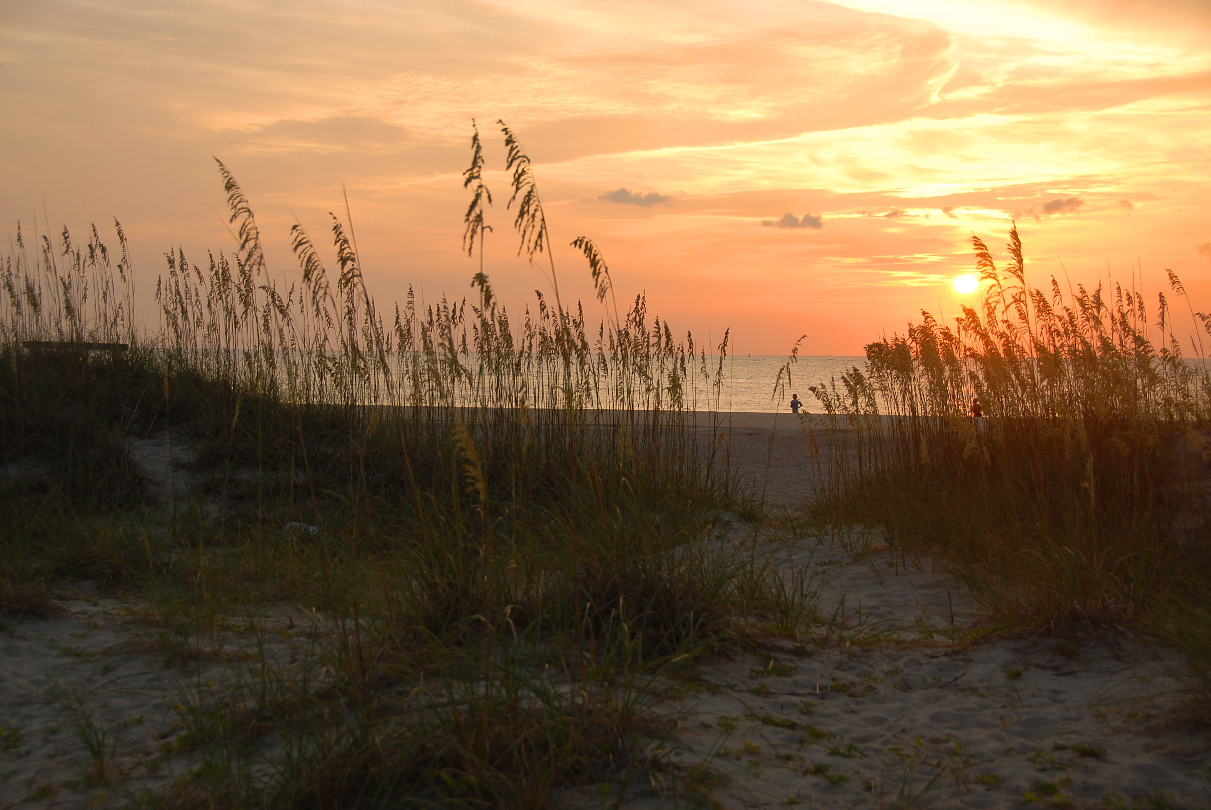 sand, atlantic, cloud - sky, 4K, near, beauty in nature, dunes, idyllic, dynamic, no people, waves, water, seashore, sea oats, nature, sunset, non-urban scene, HD Wallpaper
