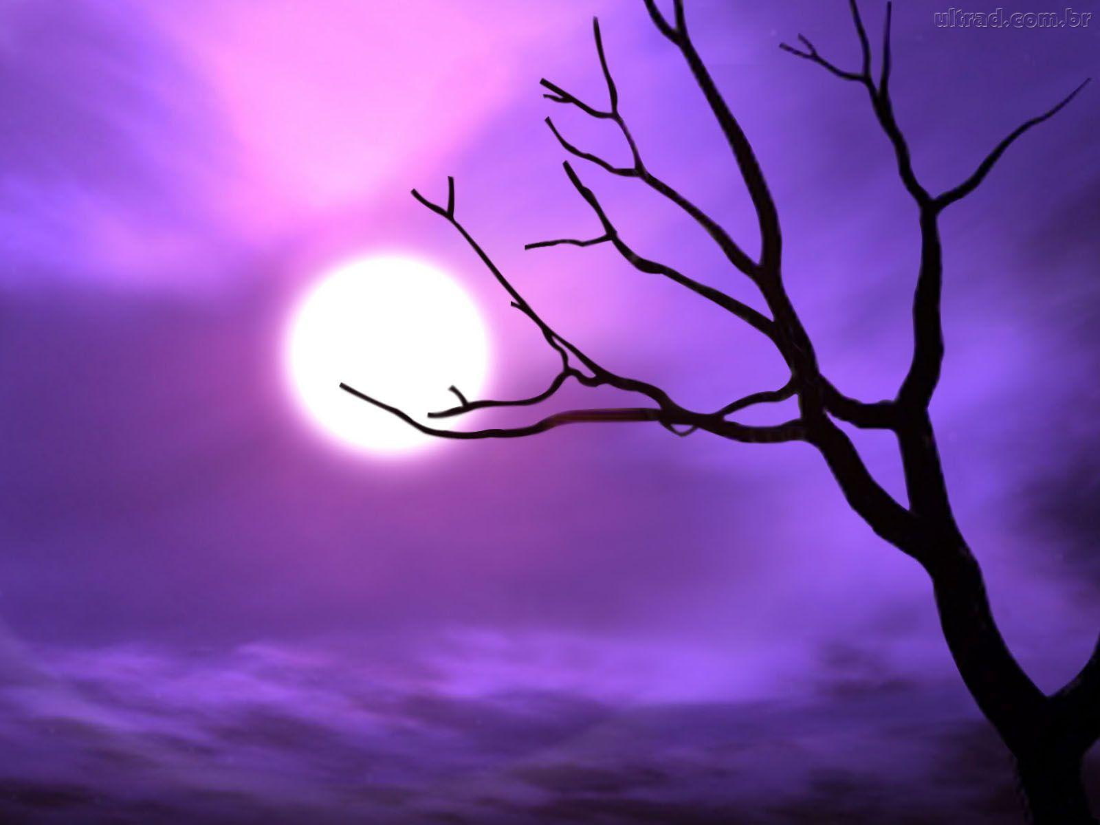 720P, mistery, hallowwen, moon, night, HD Wallpaper