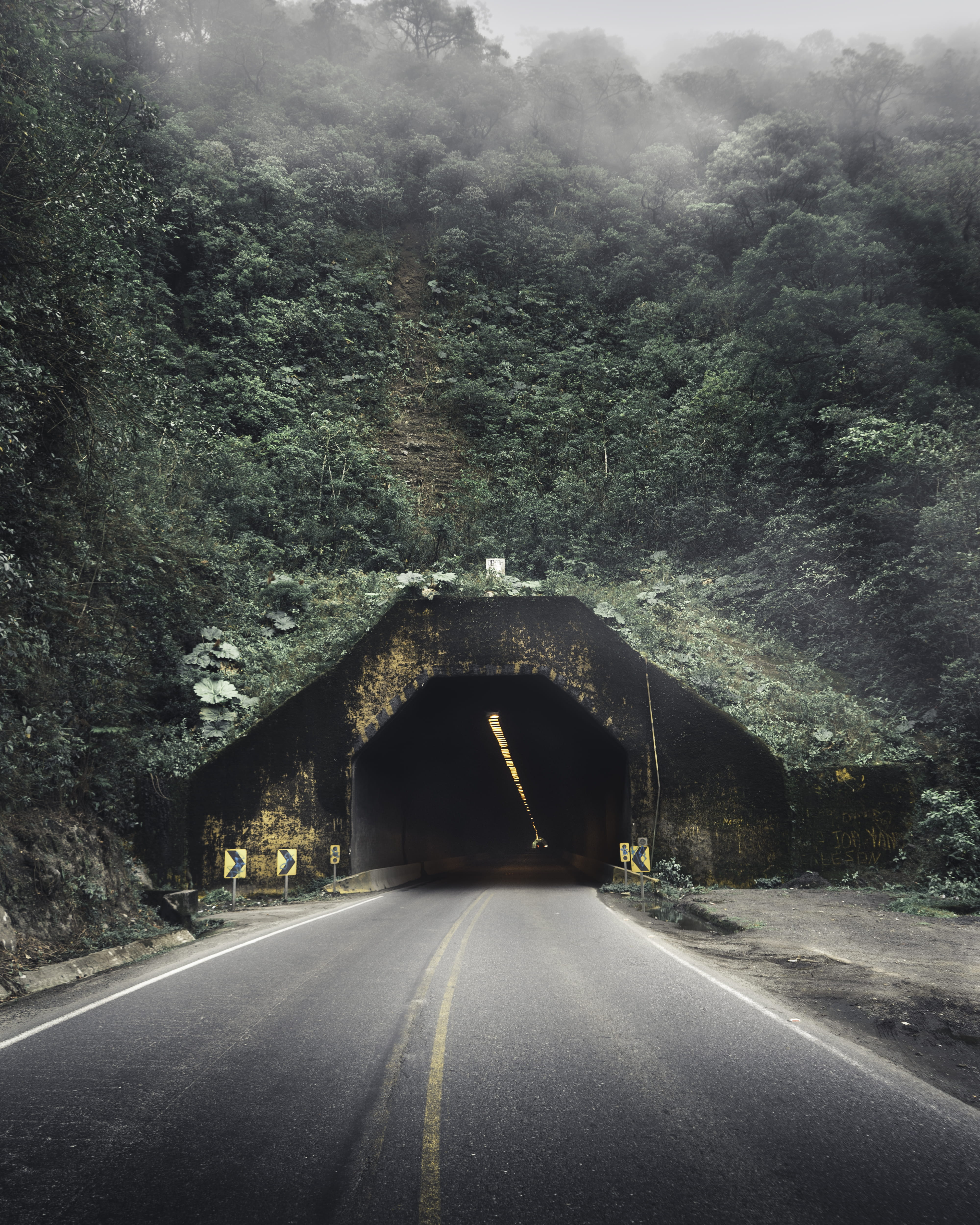 tropic, leafe, architecture, 4K, tropical, car, tunnel, diminishing perspective, nature, connection, highway, path, route, marking, misteriou, road sign, Phone HD Wallpaper