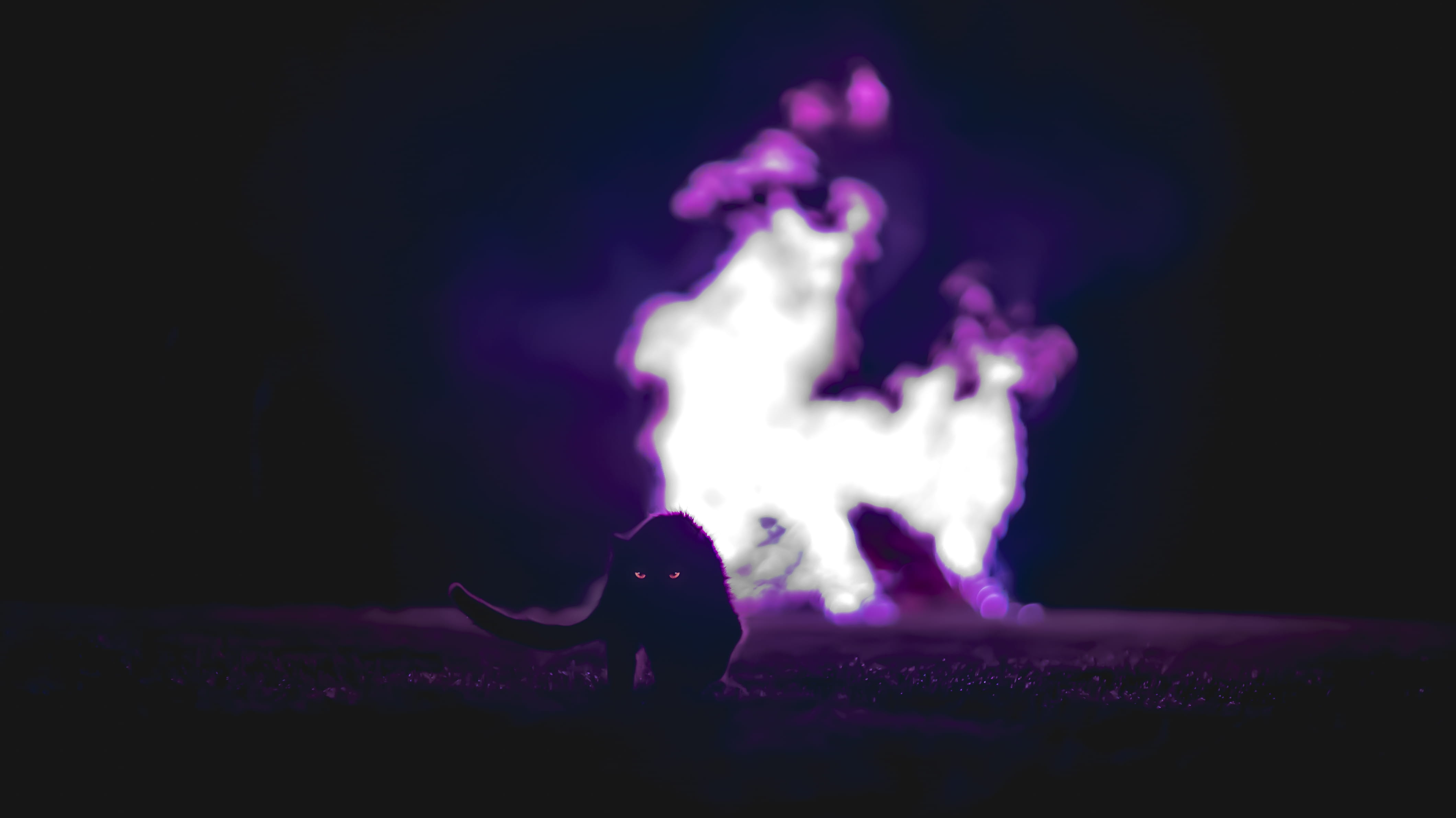 minnesota, fire, animal, skill, real people, sneak, music, 4K, standing, cat, night, united states, kitten, creature, demon, purple, stage, arts culture and entertainment, HD Wallpaper