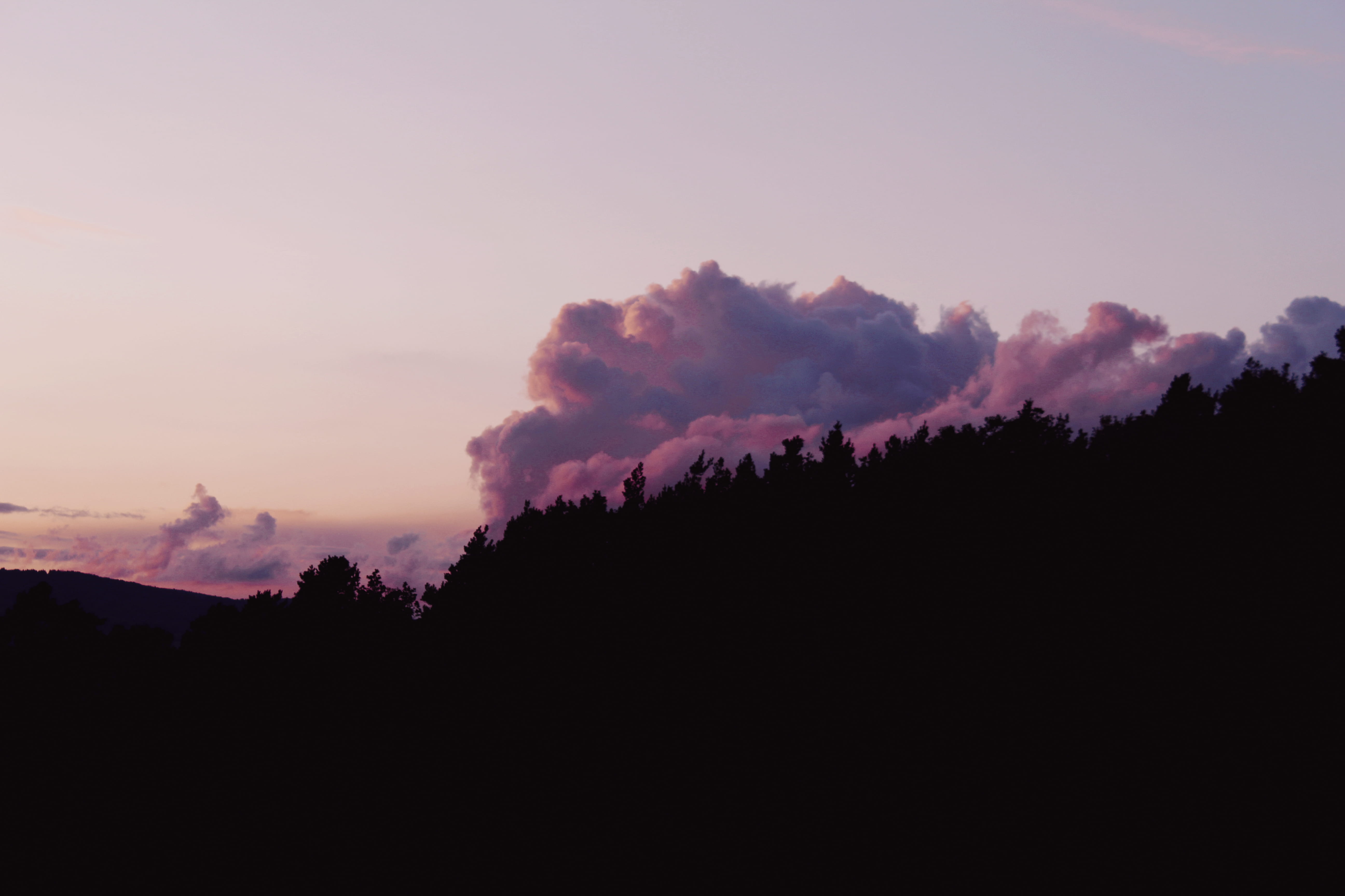 forest silhouette, cool, sky, purple, outdoors, dusk, silhouette, beauty in nature, cloud - sky, purple cloud, moody, no people, photography, plant, environment, HD Wallpaper