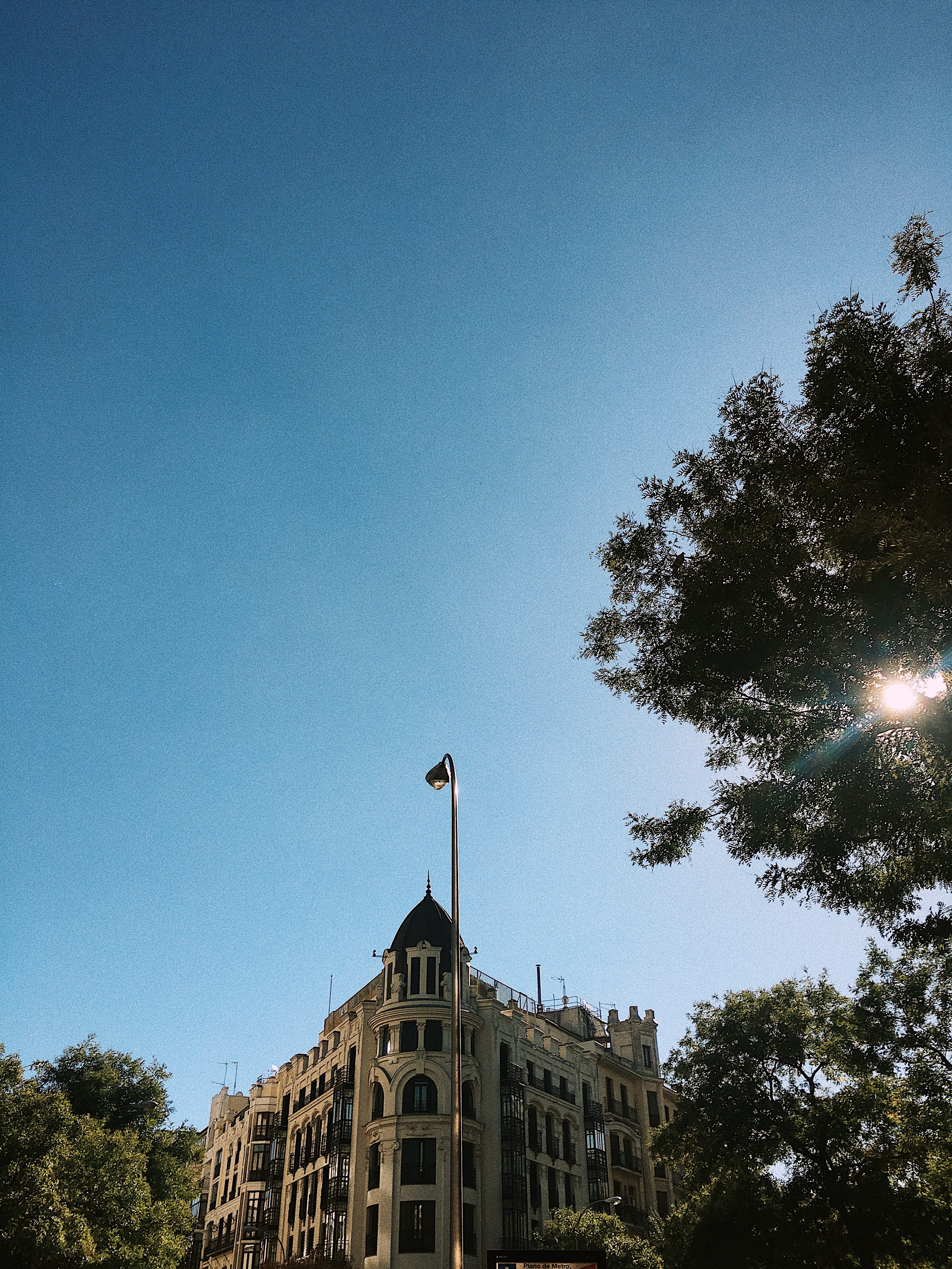 sky, street light, copy space, tree, sunlight, no people, europa, outdoors, spain, low angle view, 4K, built structure, arboles, plant, blue, clear sky, Phone HD Wallpaper