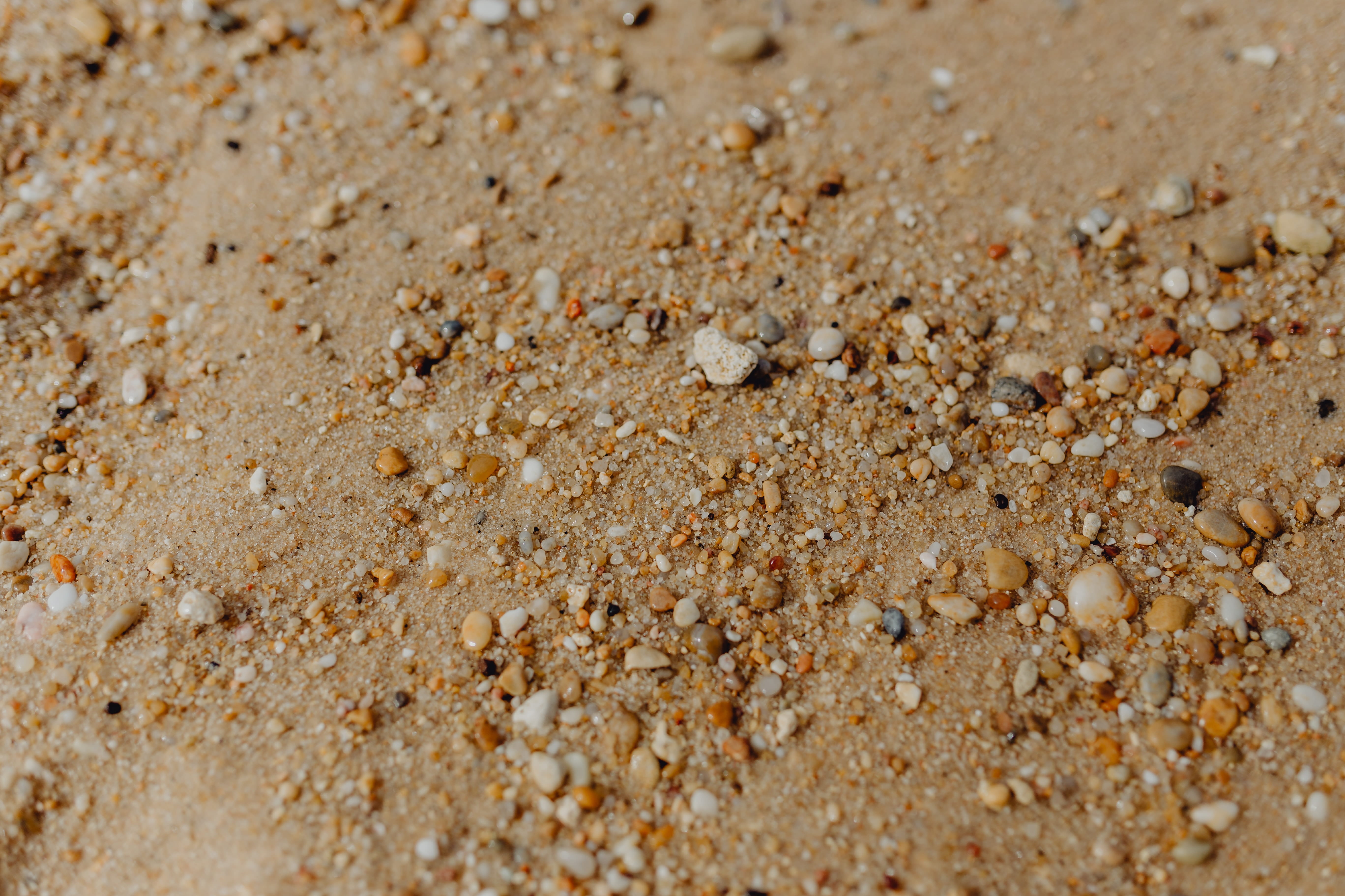 selective focus, small, pebbles, full frame, dirt, 5K, shells, day, sweet food, cereal plant, texture, no people, many, land, background, food and drink, HD Wallpaper