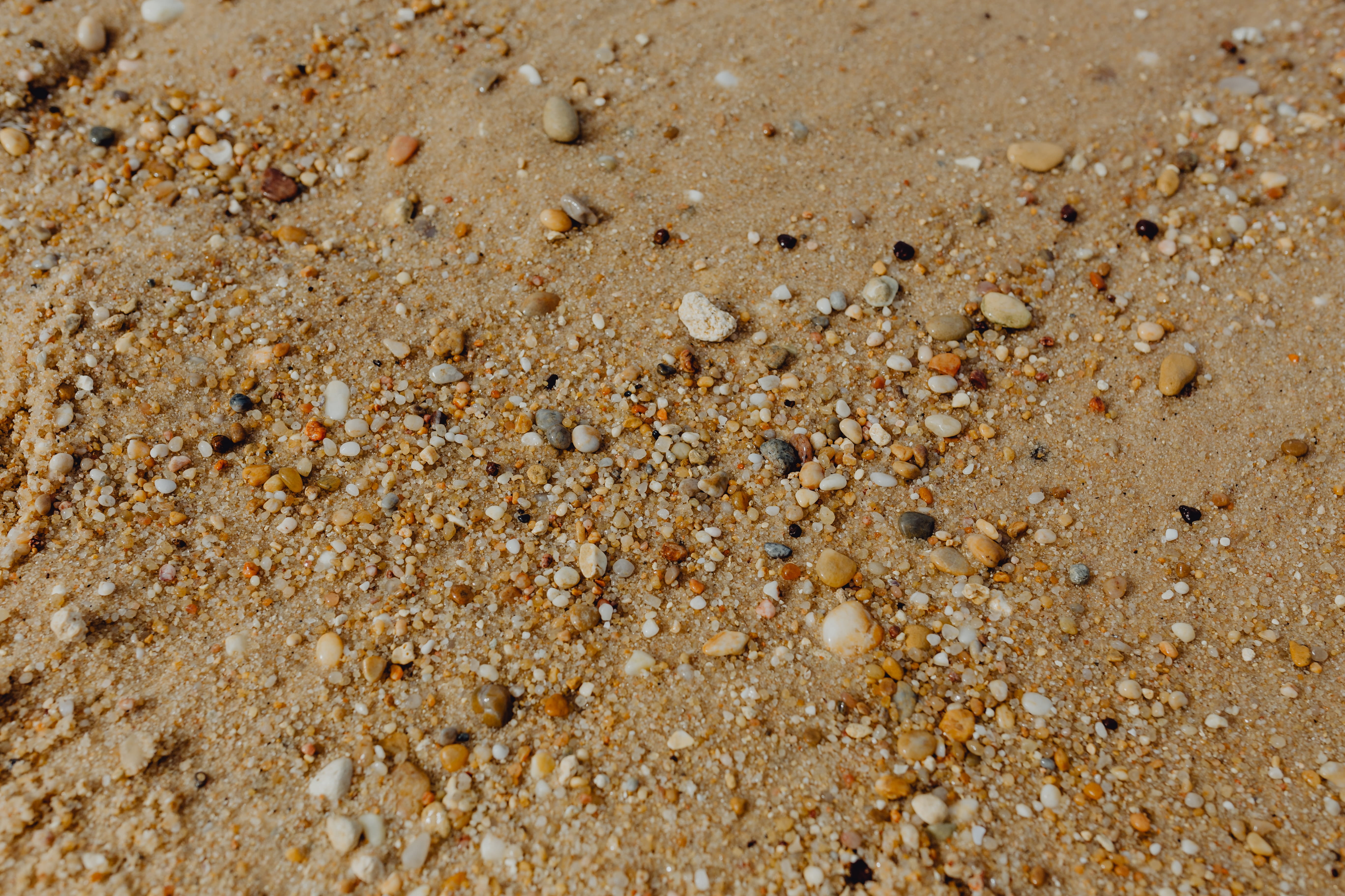 many, animal, close-up, dirt, no people, stones, backgrounds, full frame, brown, land, background, outdoors, nature, textured, pebbles, sunlight, small, HD Wallpaper