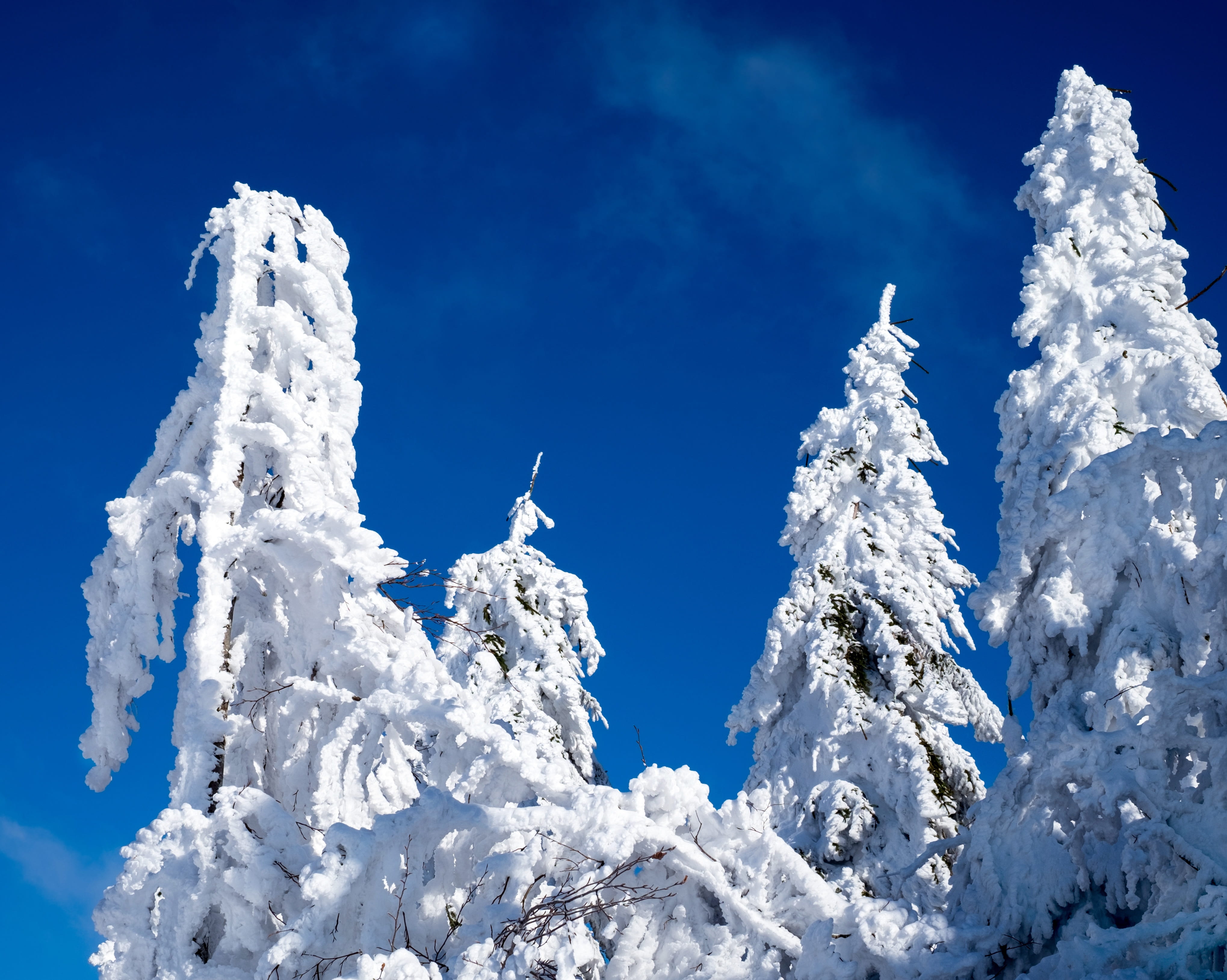 low, snowcapped mountain, wintry, sky, snow magic, scenics - nature, photography, white color, cold, outdoors, 4K, blue, tranquility, day, cold temperature, HD Wallpaper