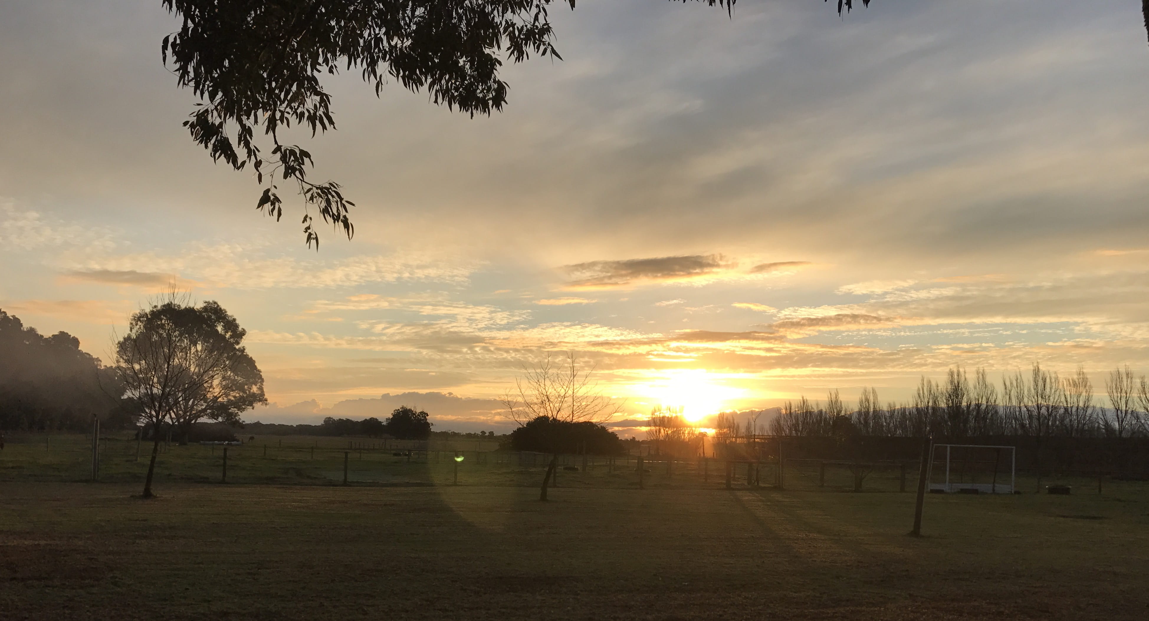 australia, clouds, plant, tree, landscape, outdoors, country, fence, thecountry, home, land, countrylife, sunsets, boyanup, orange color, thefarm, sun, HD Wallpaper