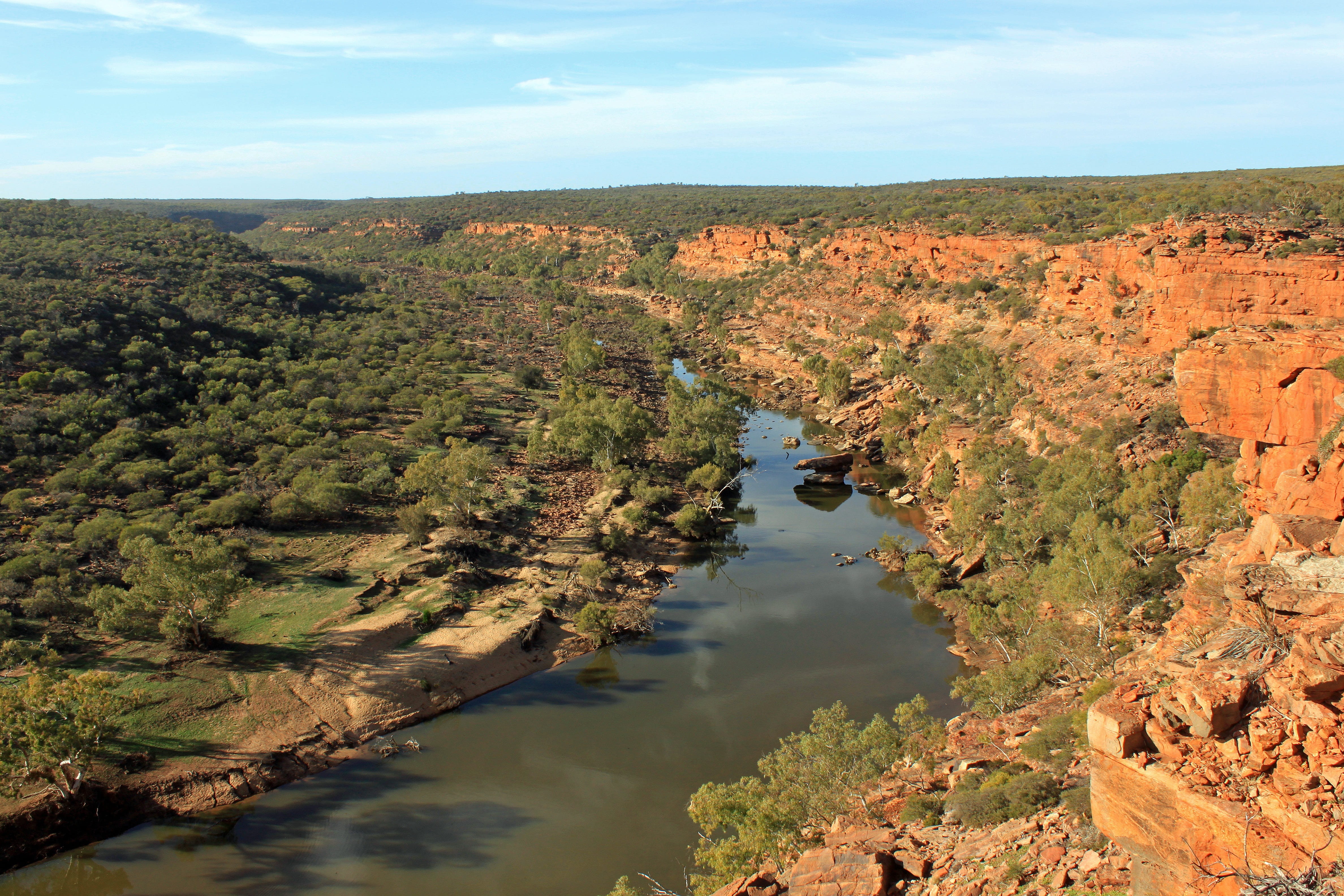 australia, plant, nature, 4K, water, scenics - nature, tree, beauty in nature, high angle view, idyllic, sky, no people, day, outback, tranquility, reflection, HD Wallpaper