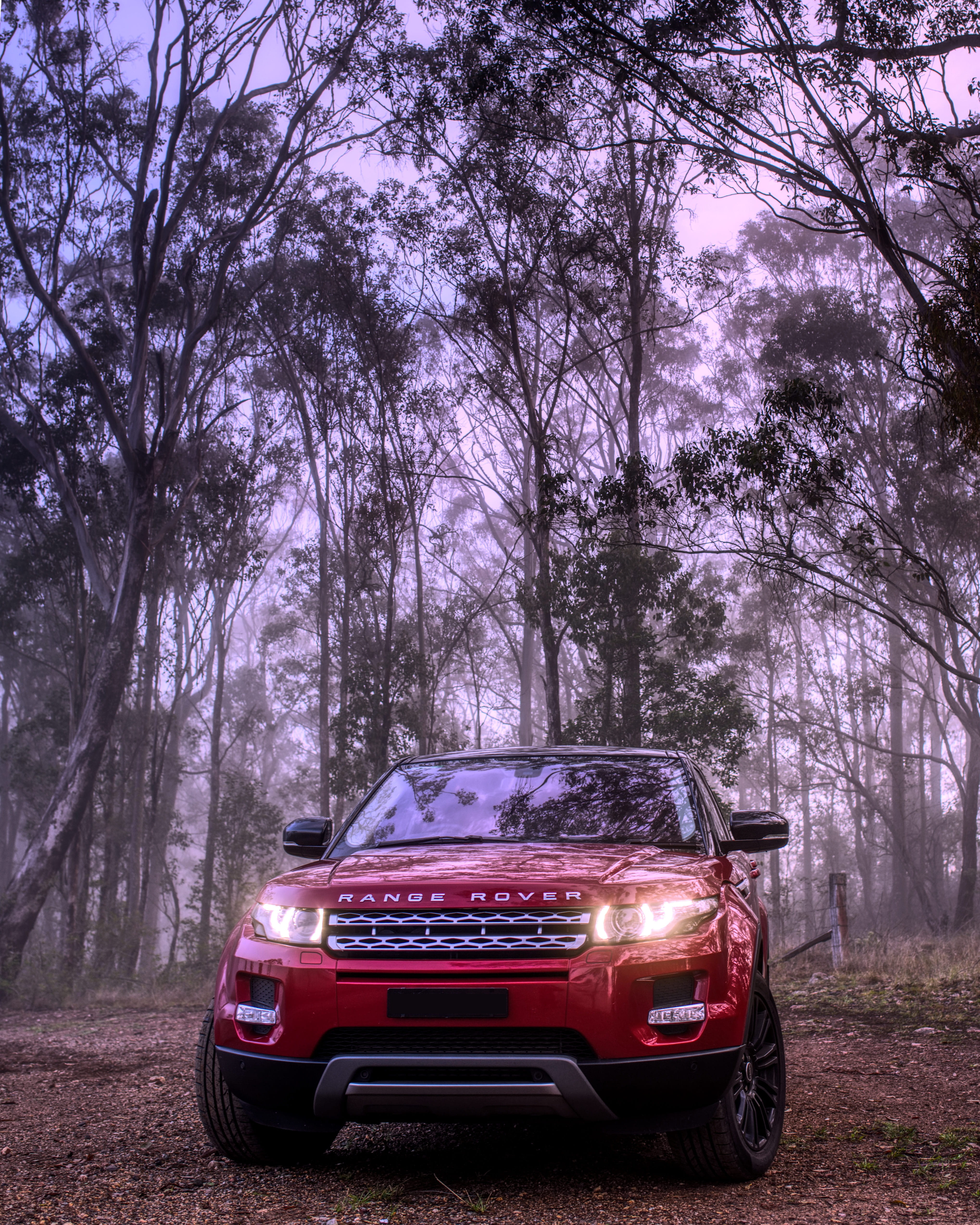 travel, parking, plant, automotive, stationary, motor vehicle, no people, transportation, land vehicle, luxury, range rover, red, australia, growth, outback, Phone HD Wallpaper