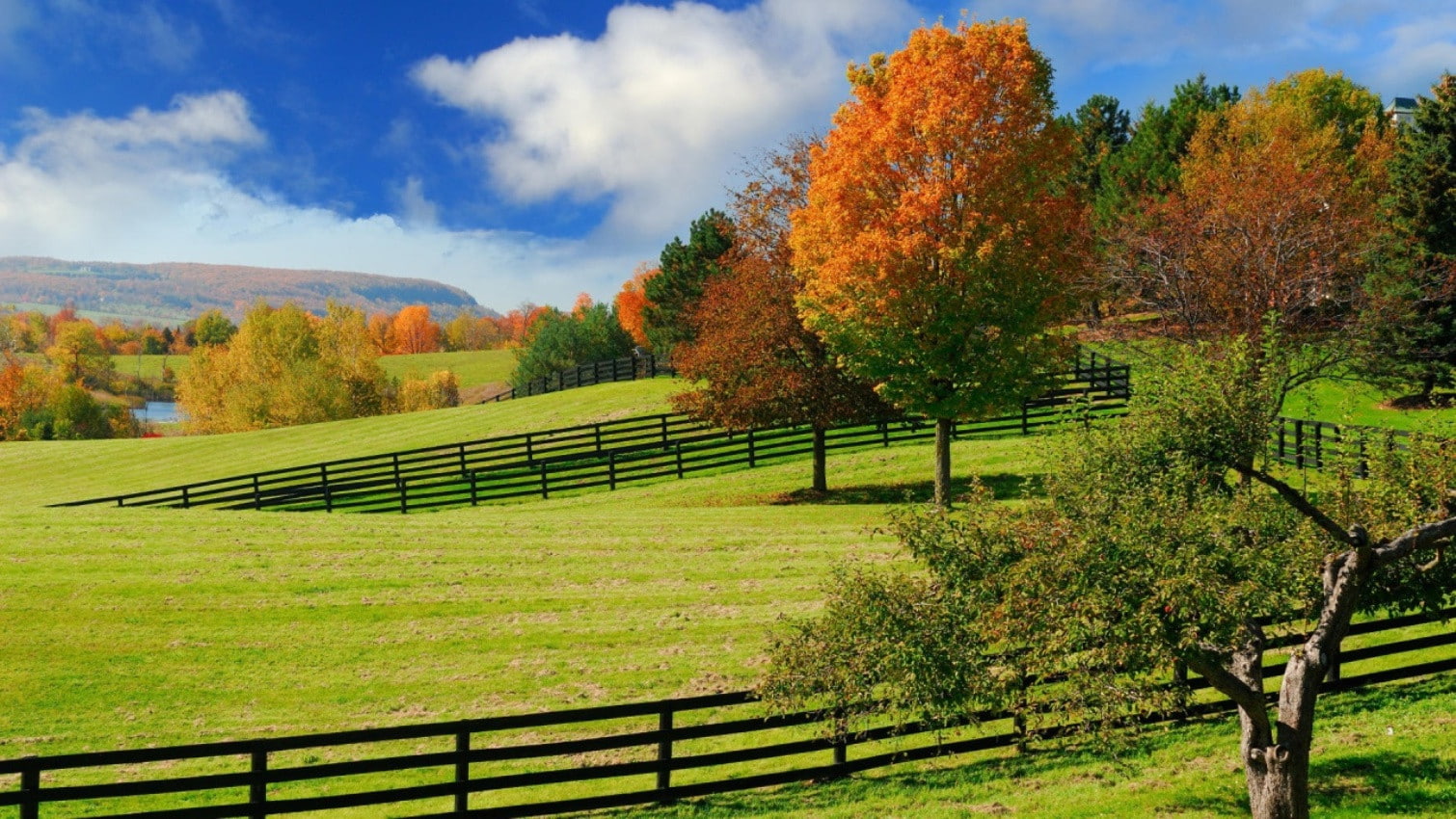 tranquil scene, environment, beauty in nature, plant, land, no people, growth, pastures, sky, tranquility, field, change, nature, landscape, autumn, cloud - sky, HD Wallpaper