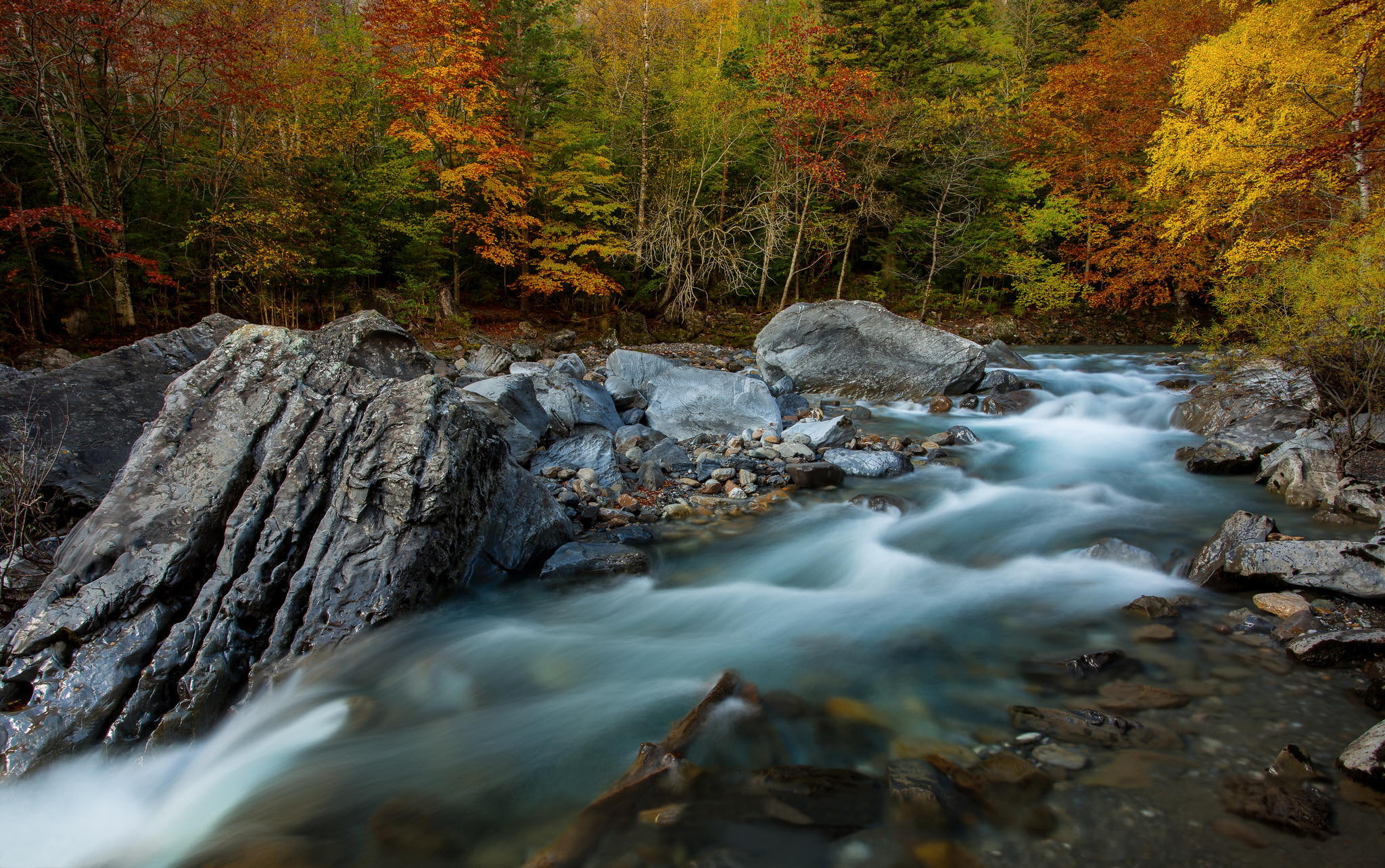 excerpt, province of Huesca, threads, autumn, Spain, 1080P, forest, The Ordesa national Park and Monte Perdido, river, rocks, HD Wallpaper