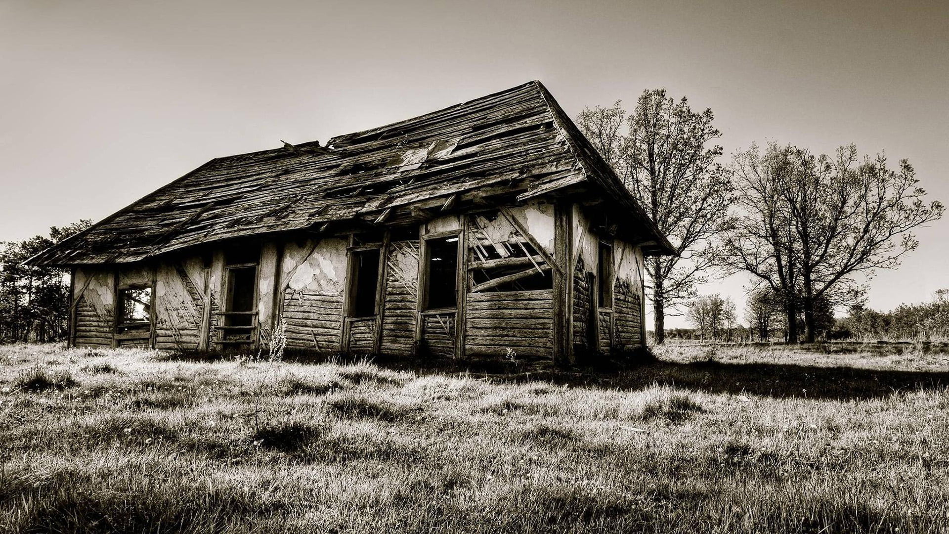 no people, roof, plant, old, wood, residential district, architecture, country, barn, damaged, obsolete, farm building, trees, cabin, run-down, ruined, HD Wallpaper