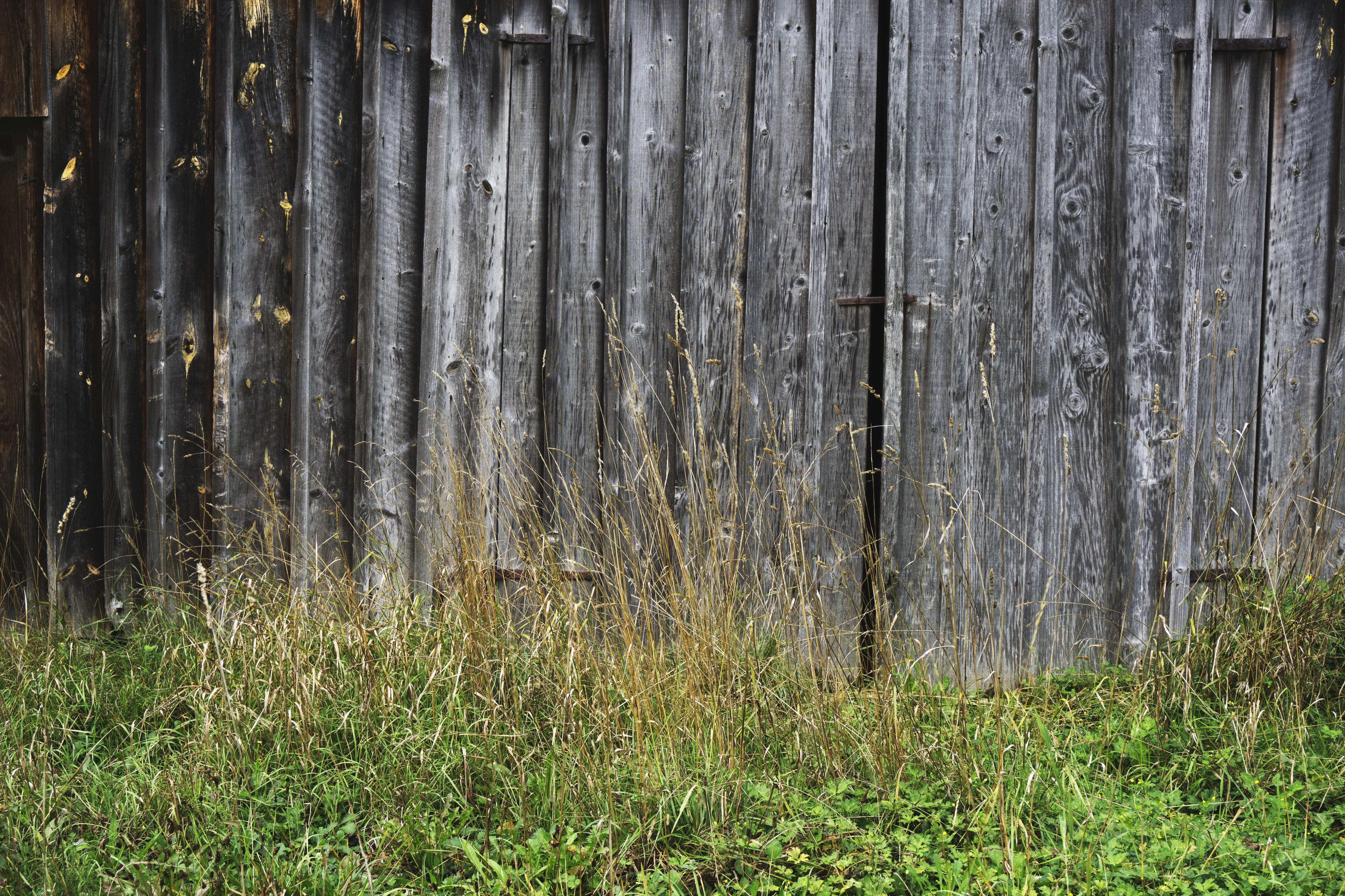 entrance, dirty, field, grunge, wooden, protection, farm, agriculture, forest, Barn, color Image, door, wall - building feature, barrier, building, aged, HD Wallpaper