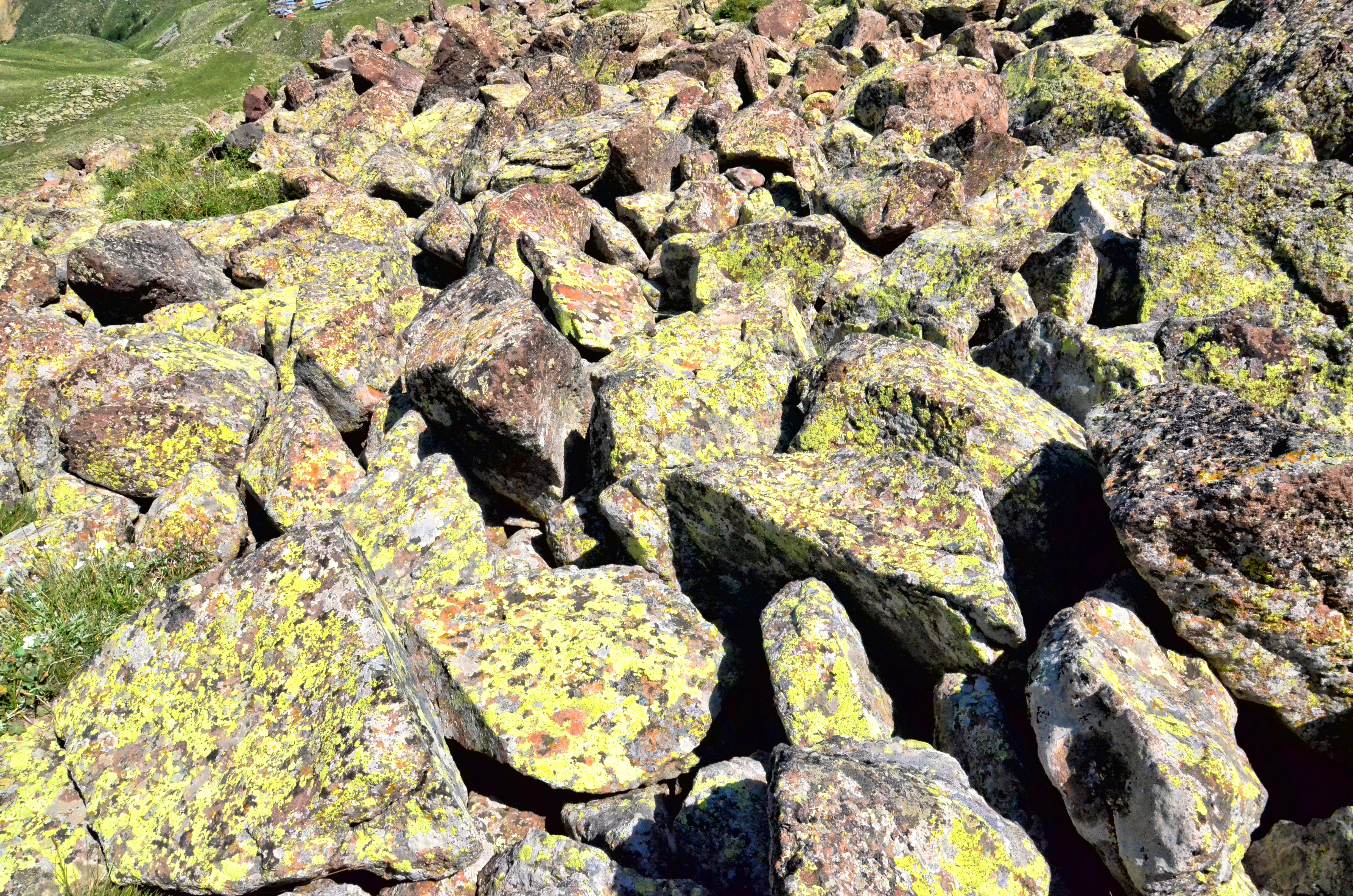 moss, natural turkey, natural life, landscape, no people, lichen, rural, beauty in nature, panoramic, solid, natur, high angle view, chains, blue, outdoors, HD Wallpaper