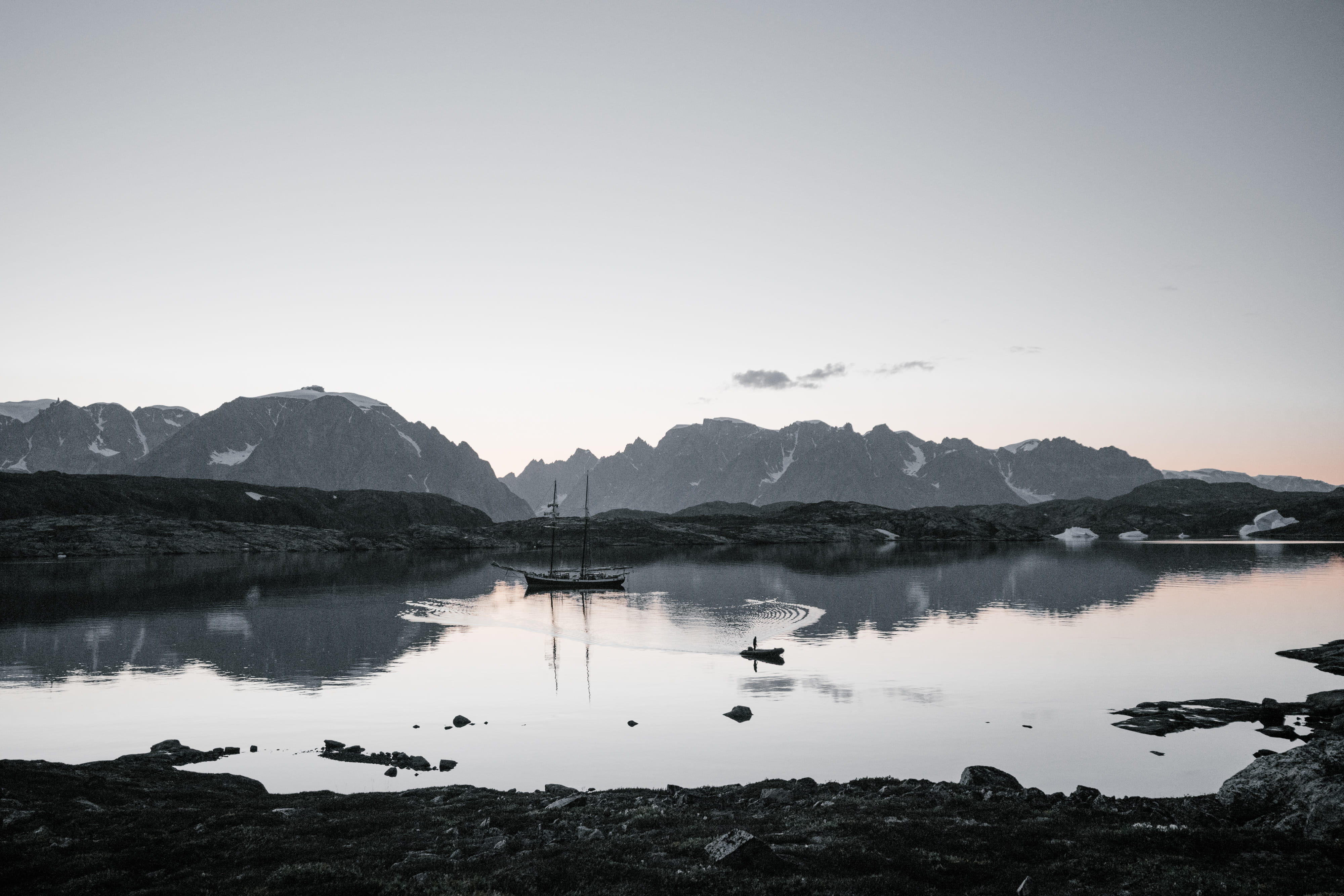 animal, nature, body, idyllic, copy space, tranquil scene, tranquility, reflection, ice, lake, scenery, boat, sailboat, bird, day, land, clear sky, white, HD Wallpaper