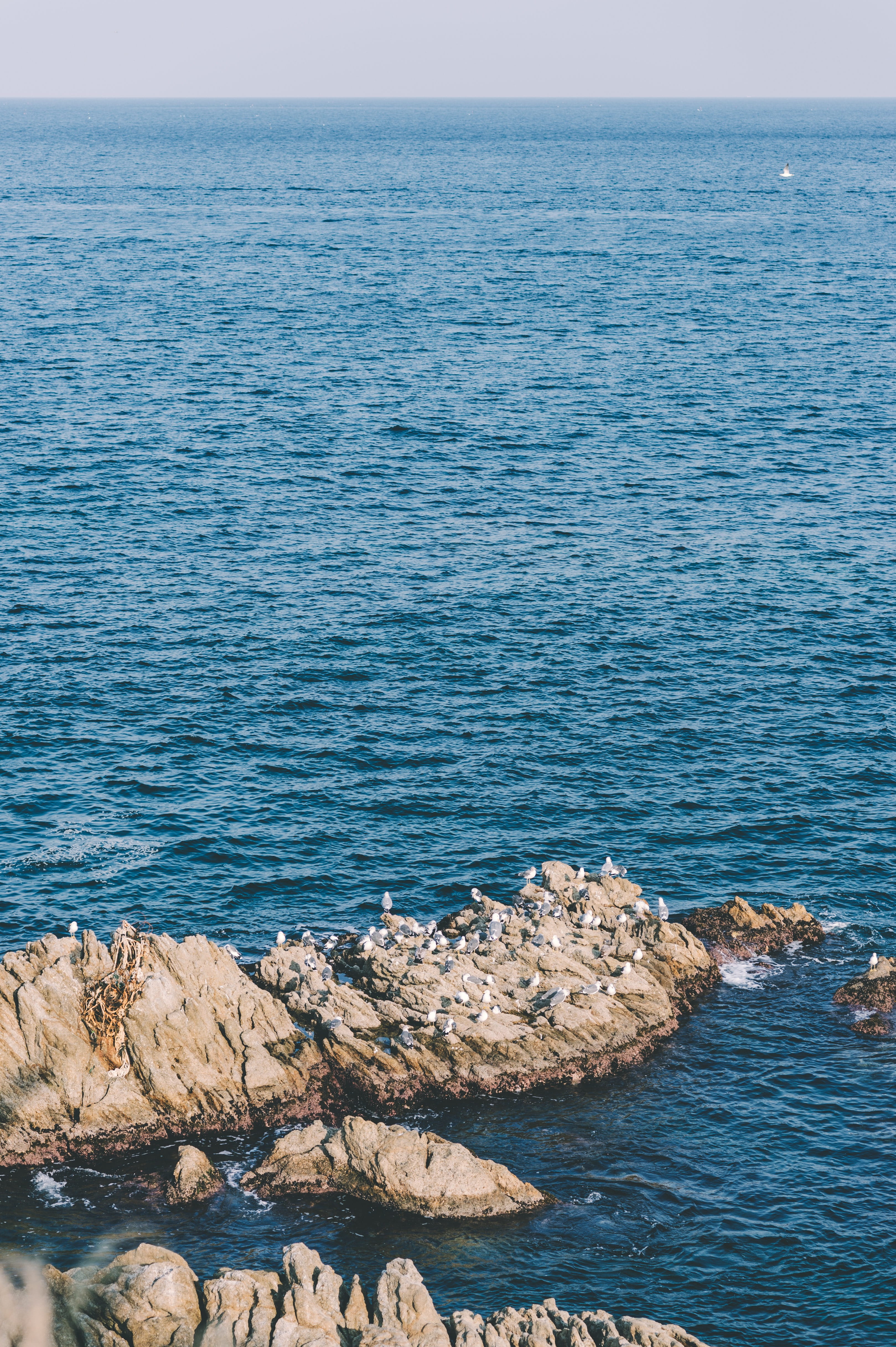 selective, beauty in nature, blue, vessel, vehicle, daytime, leisure activities, rock, tower, tranquility, rocky coastline, animal, rock formation, watercraft, Phone HD Wallpaper