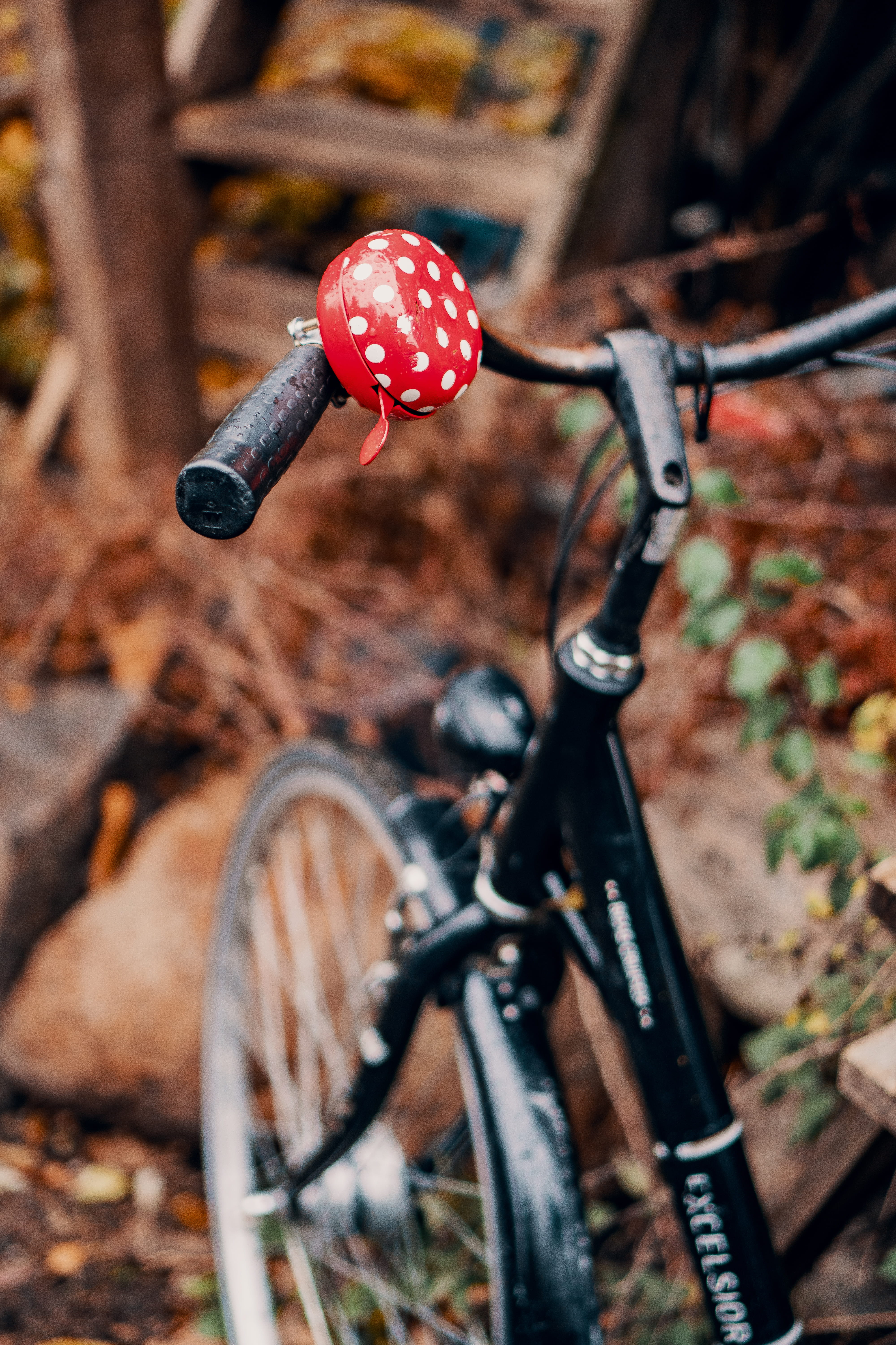 land vehicle, denmark, high angle view, wheel, mushroom, vehicle, day, metal, field, mountain bike, black, outdoors, fungus, tire, nordområdet 200, focus, Phone HD Wallpaper
