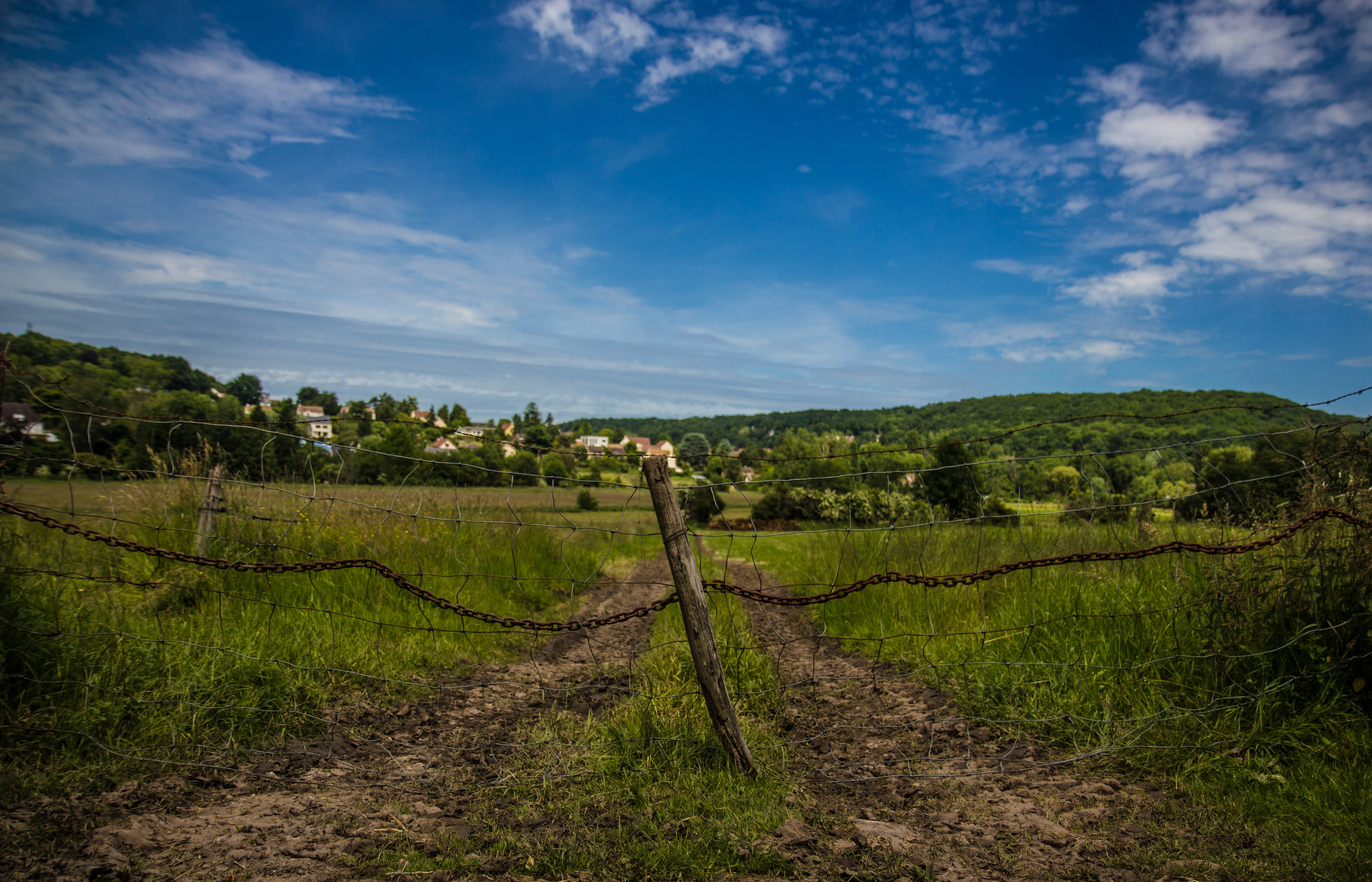 grass, beside, brown, cloud - sky, scenics - nature, growth, environment, trees, cloud, log, tall, mountains, blue, near, field, tranquil scene, boundary, HD Wallpaper