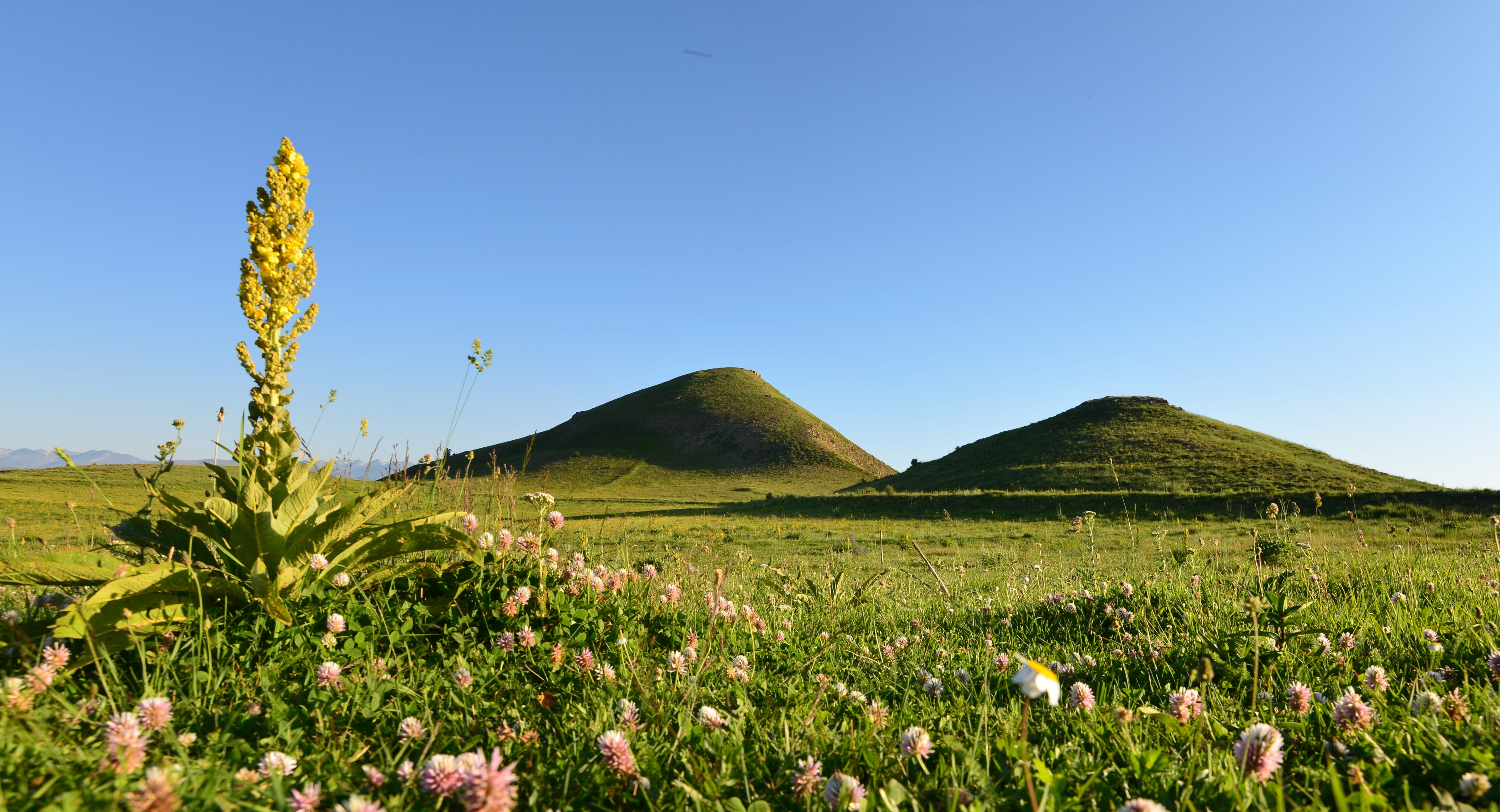 natural life, natural turkey, 5K, flower, semi-arid, landscape, eastern black sea, environmental, panoramic, sunny, tranquility, non-urban scene, highland, HD Wallpaper