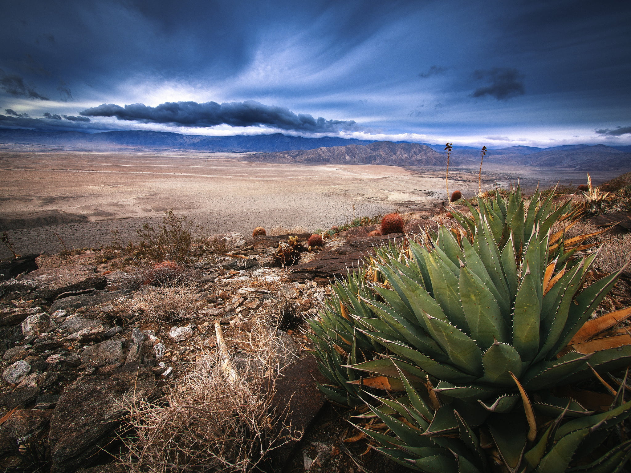 day, storm, climate, nature, landscape, cloud - sky, southern California, mountain chain, 1080P, succulent plant, plant, cactus, mountain, arid climate, HD Wallpaper