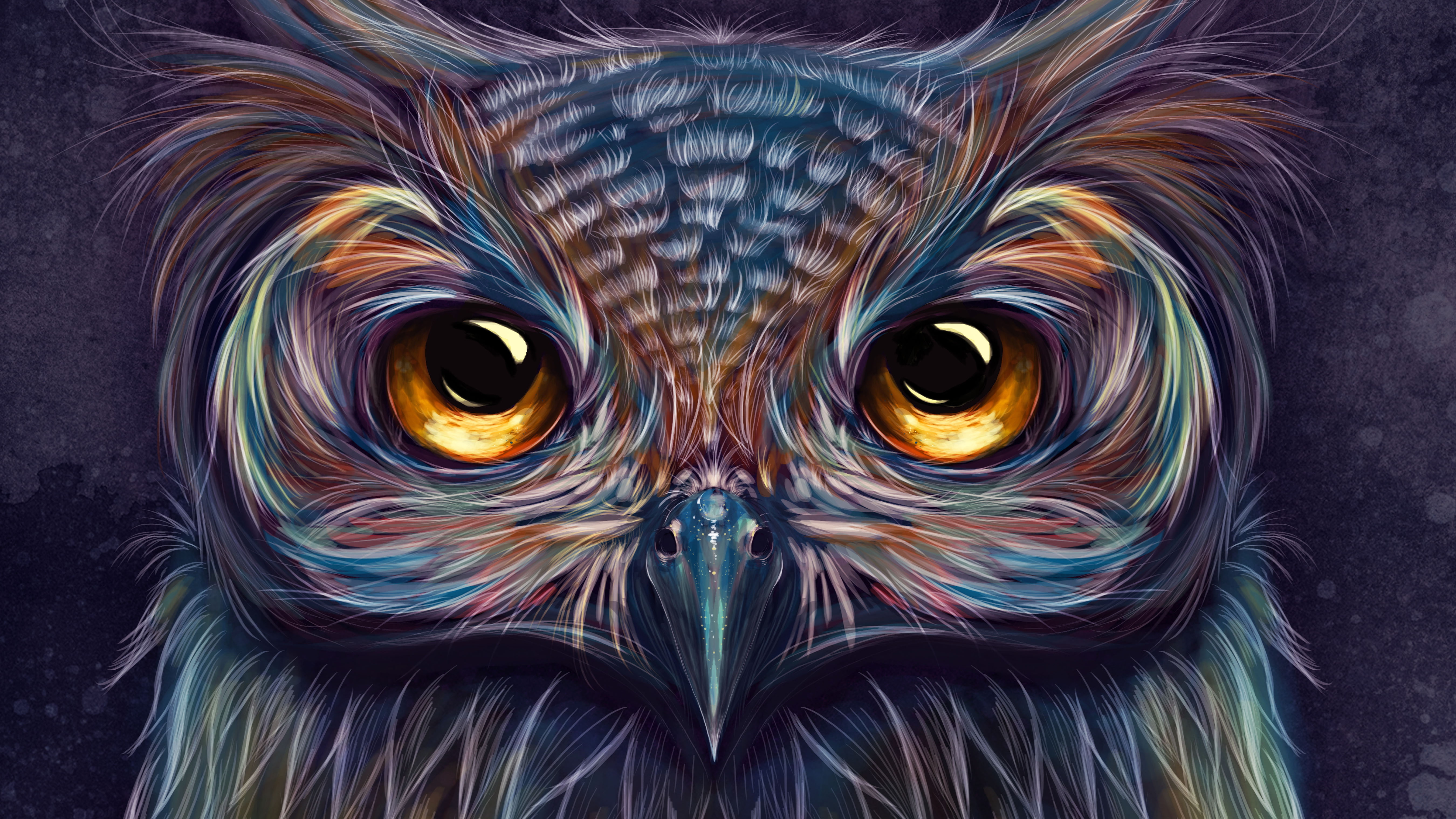 5k, owl, 5K, 4k, artwork, hd, artist, digital art, colorful, HD Wallpaper