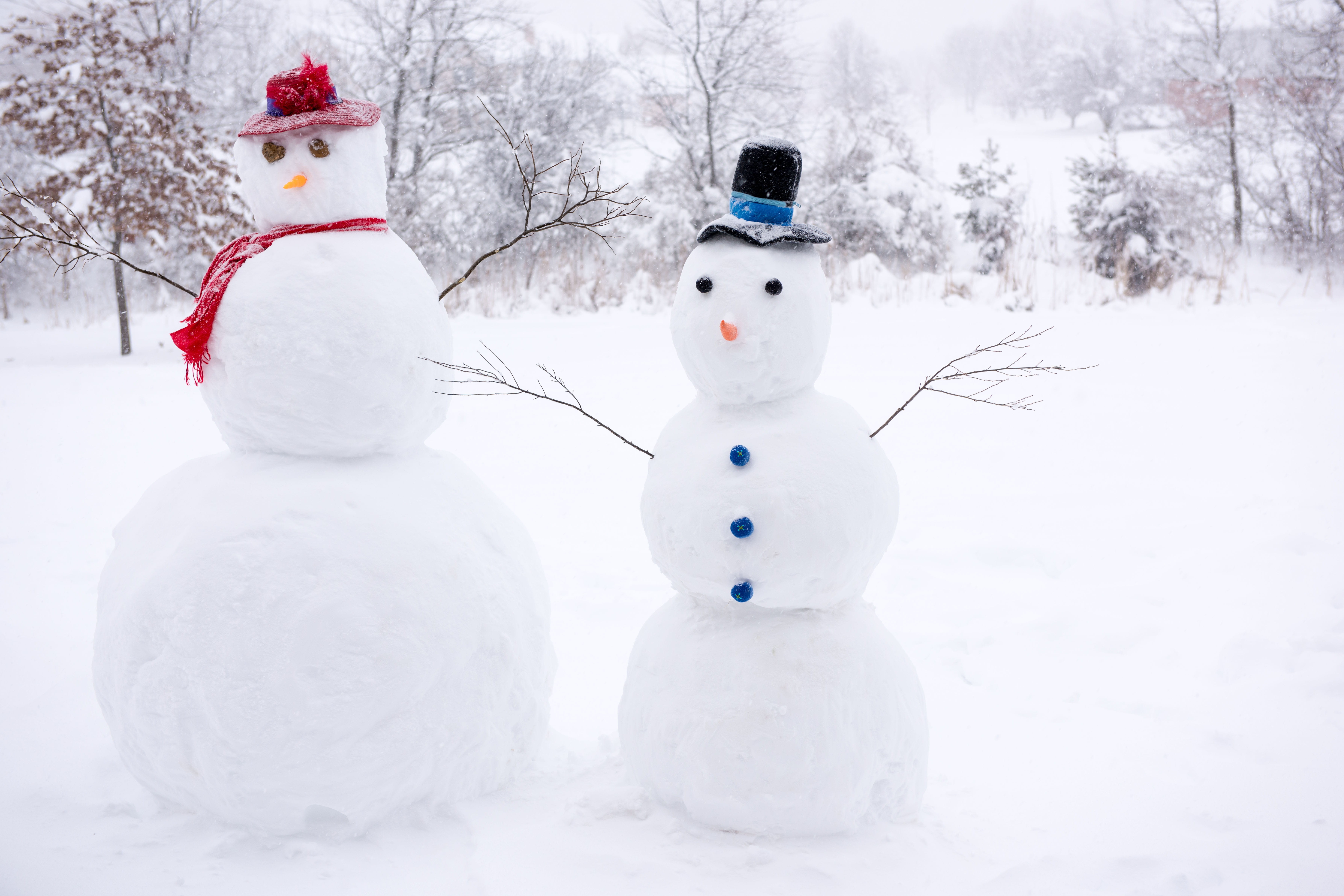 celebration, representation, human representation, snowman, fir tree, white color, two, day, snow, tree, christmas, nature, scarf, sculptures, cold temperature, HD Wallpaper