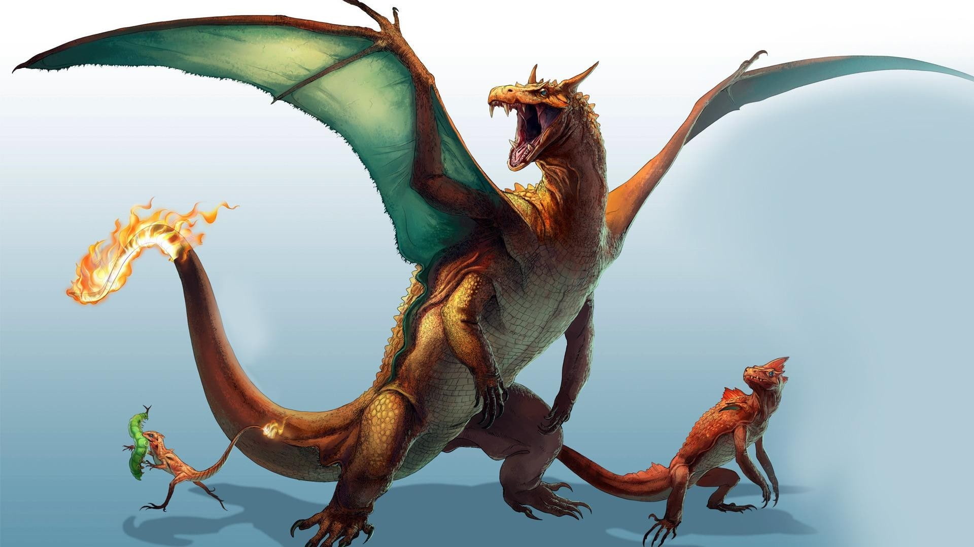 Pokémon, Charmander, 1080P, Charizard, Charmeleon, HD Wallpaper