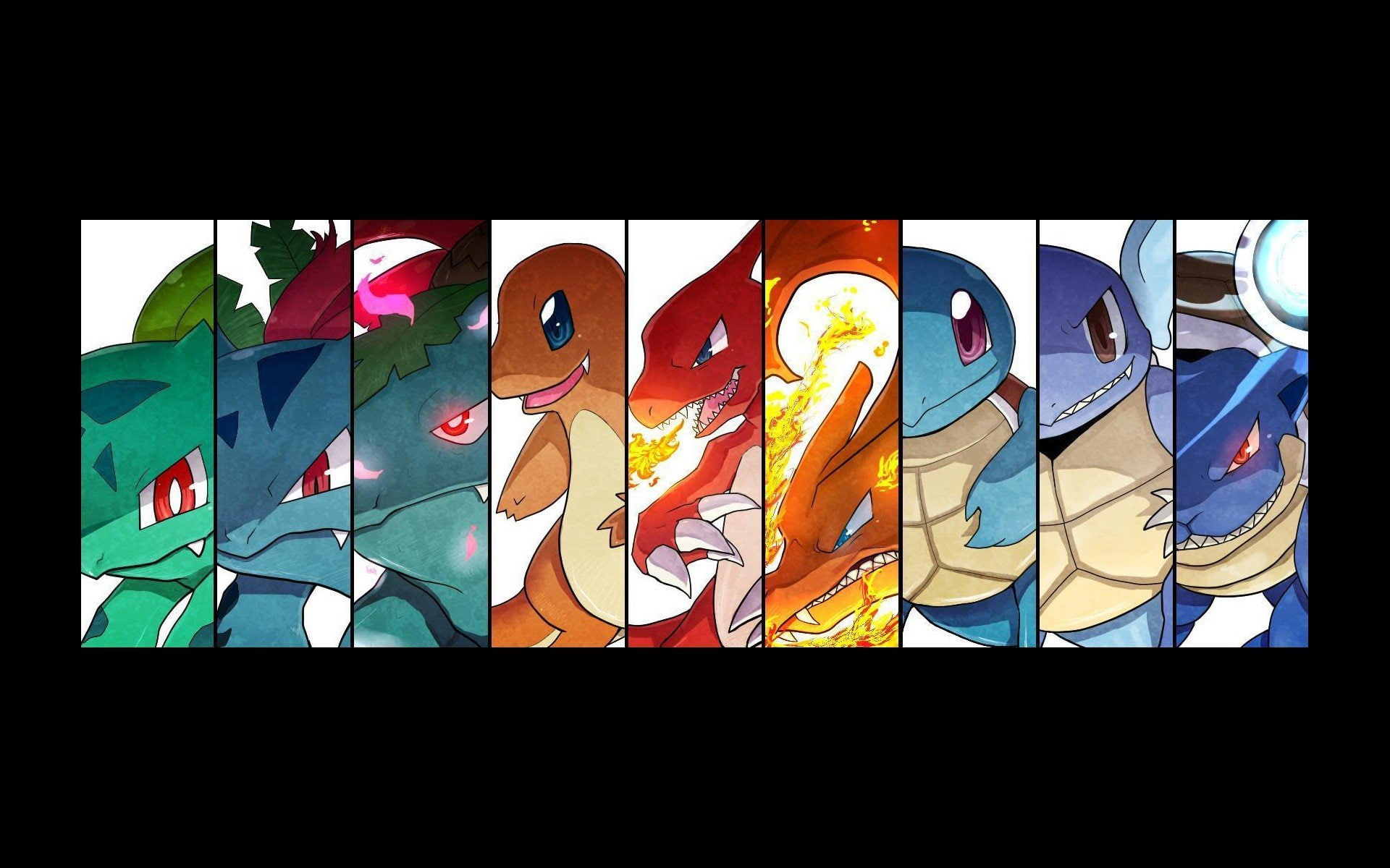 1080P, charmander, video, games, charmeleon, evolution, squirtle, charizard, ivysaur, blastoise, wartortle, pokemon, bulbasaur, anime, venasaur, HD Wallpaper