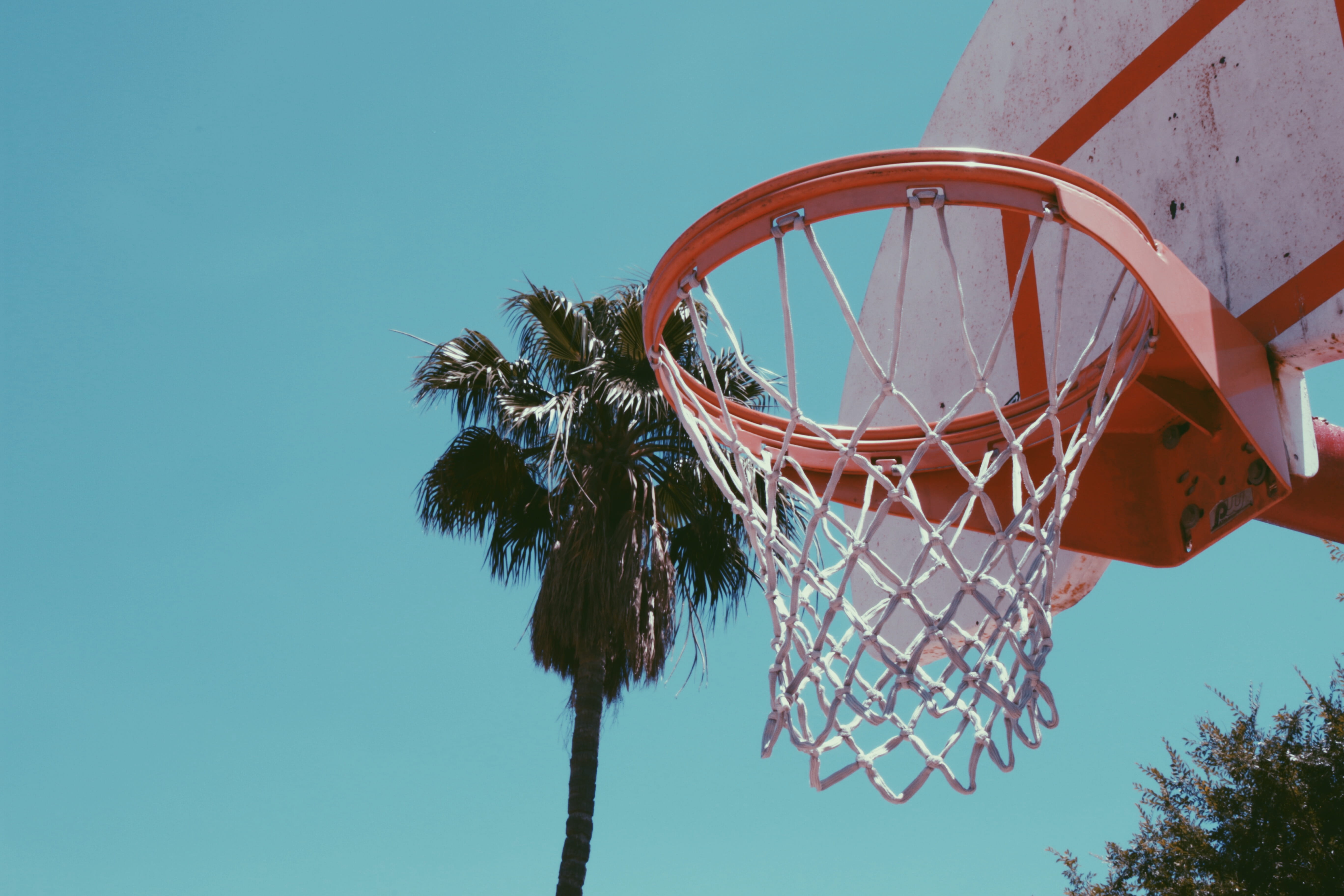no people, outdoors, hanging, net, rope, shooting, low angle view, phoenix, nature, basketball, 5K, tree, sky, day, blue sky, street ball, plant, shape, HD Wallpaper