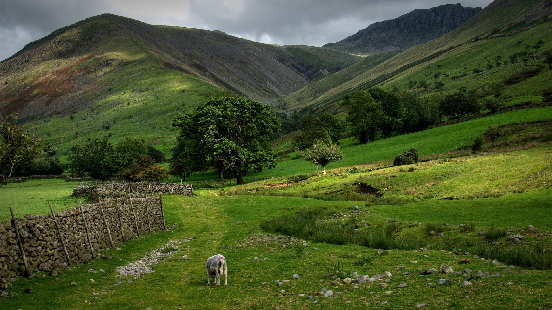 1080P, super pictures nature 1920x1080, HD Wallpaper