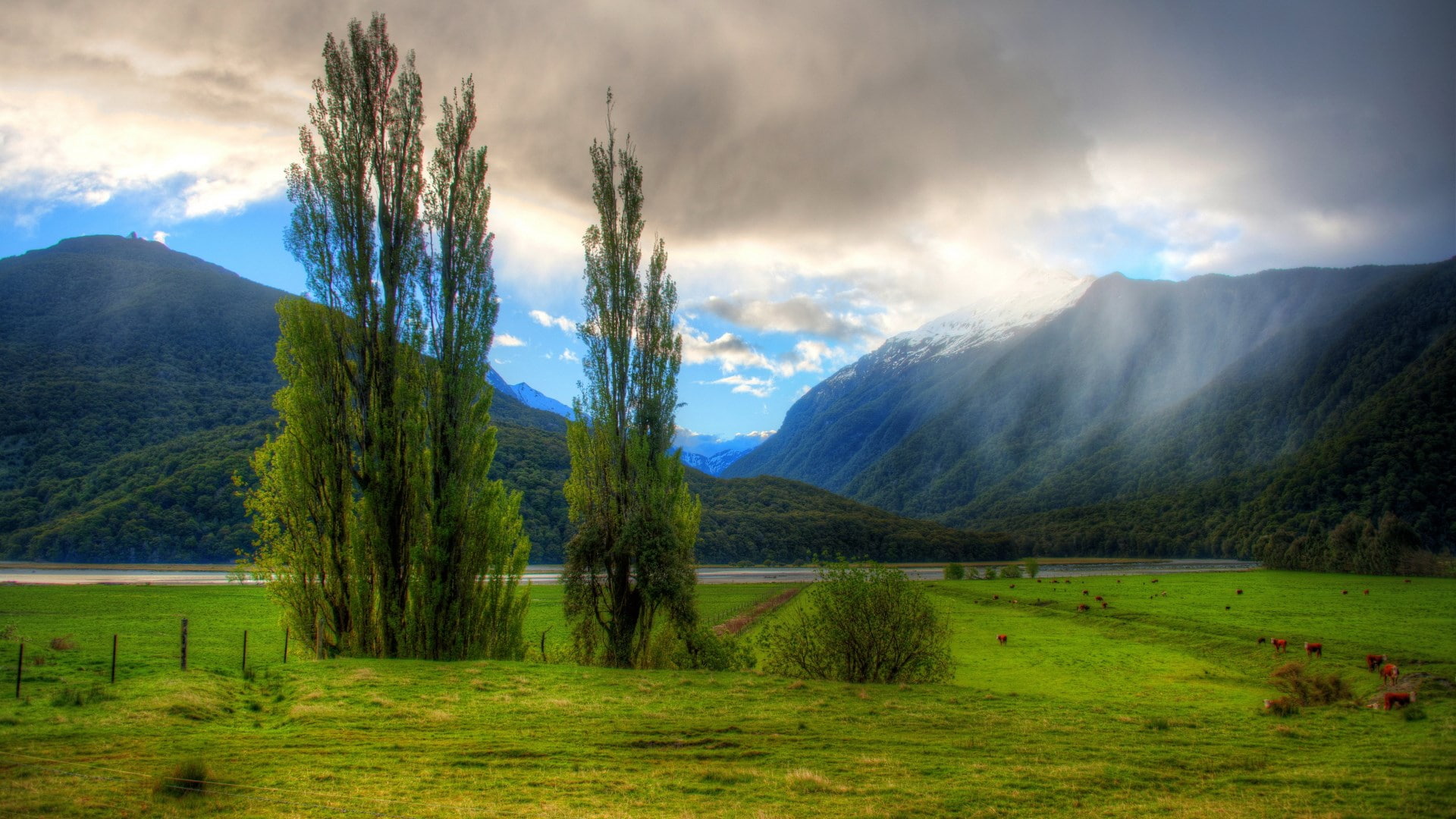 outdoors, water, environment, 1080P, nature, lake, beauty in nature, scenics - nature, super pictures nature 1920x1080, grass, tree, tranquility, mountain range, HD Wallpaper