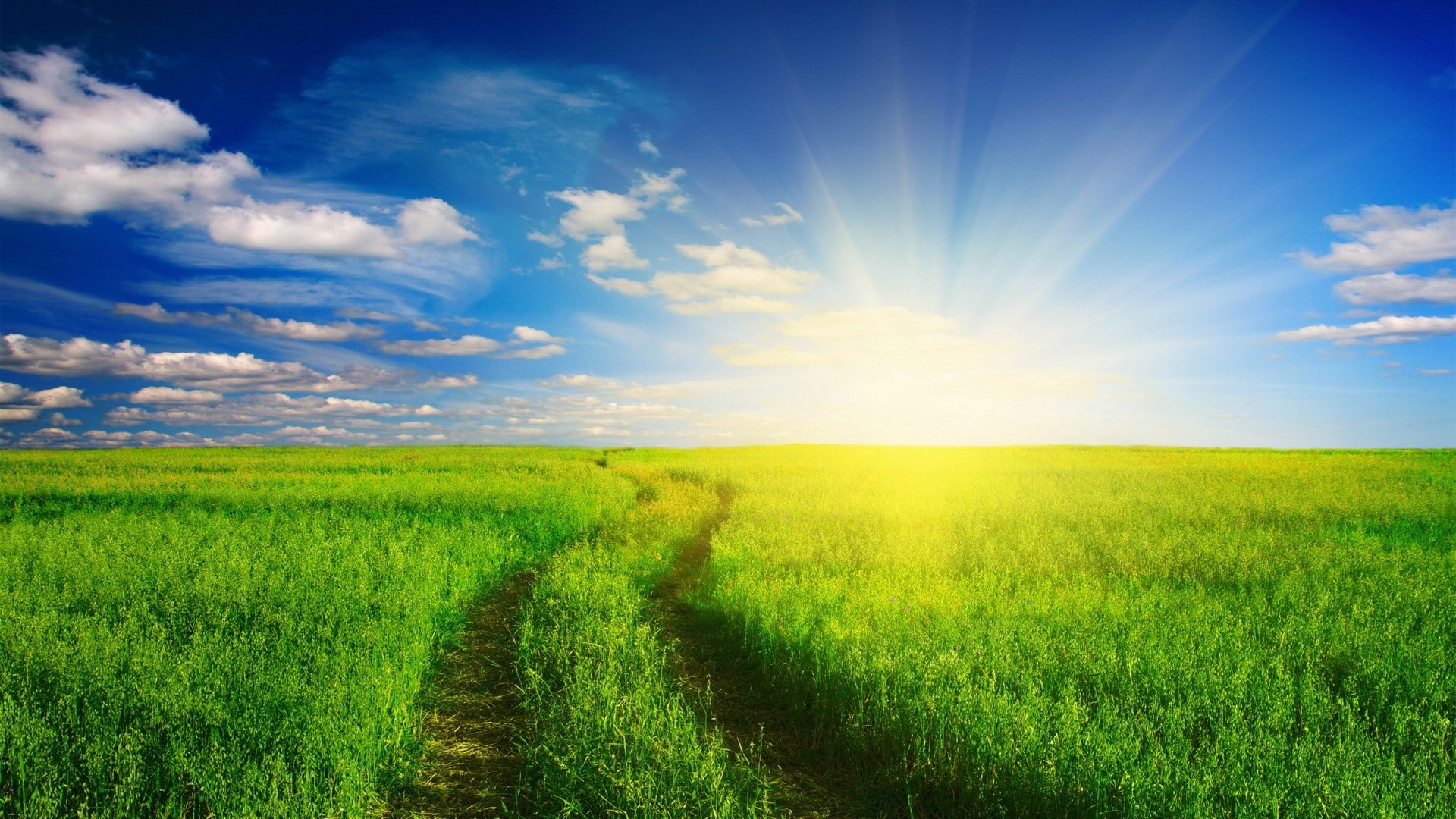 1080P, super pictures nature 1920x1080, HD Wallpaper