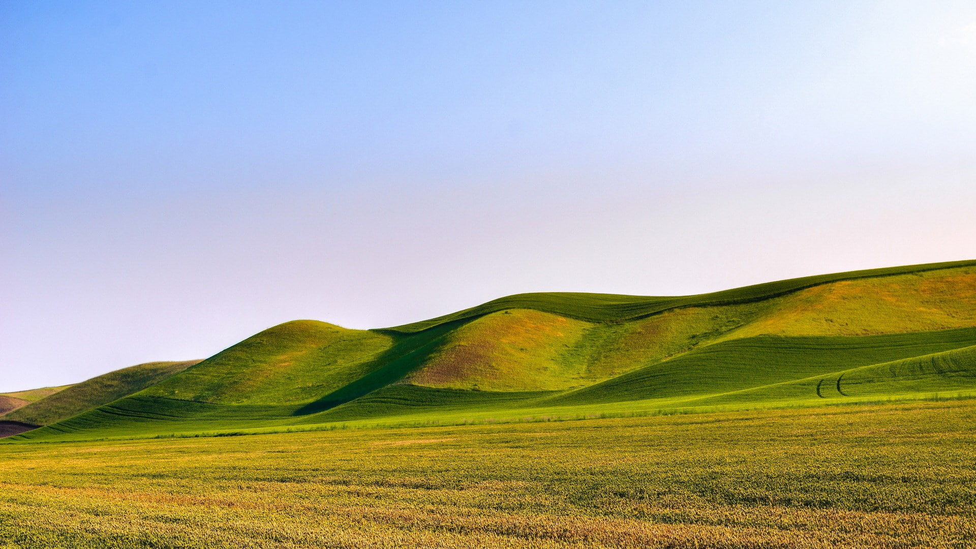 field, rolling landscape, non-urban scene, scenics - nature, grass, 1080P, sky, environment, land, landscape, tranquility, super pictures nature 1920x1080, HD Wallpaper